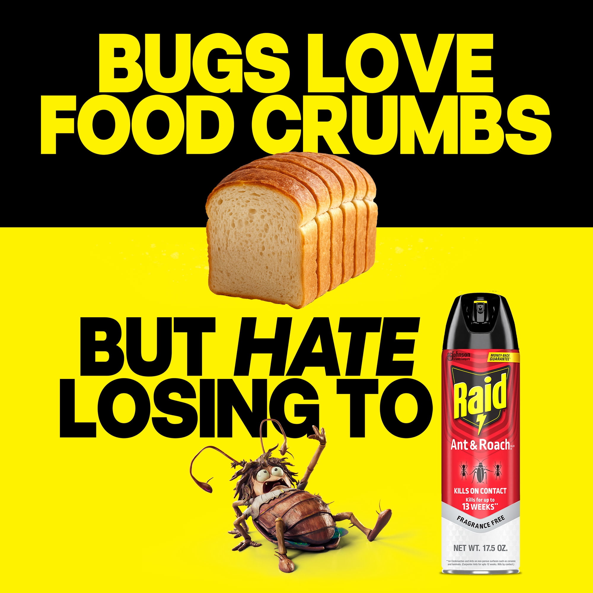 Raid Ant & Roach Killer Indoor Insecticide Spray (Fragrance Free, 35 oz, 2 Pack) jzlme