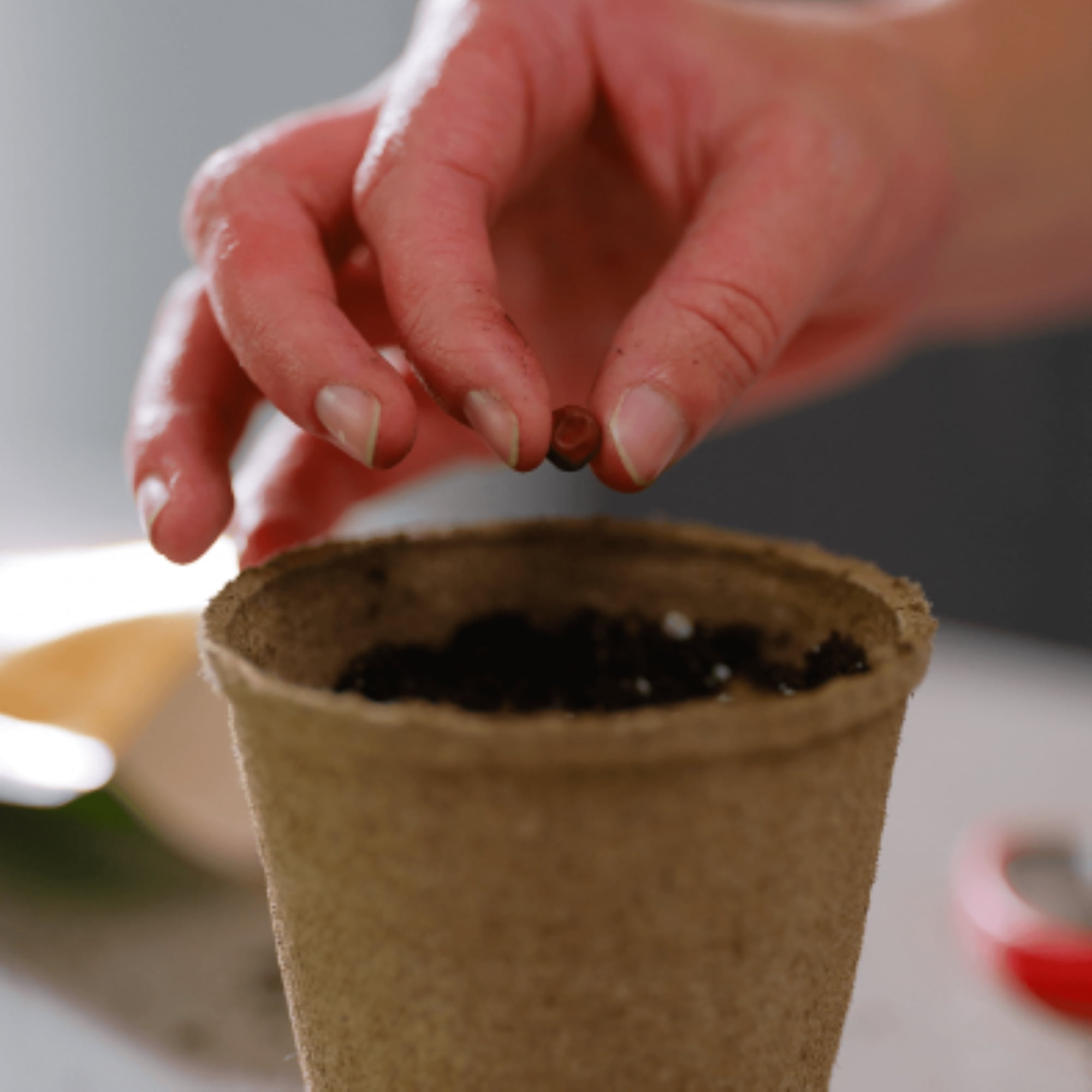 PRO-MIX Organic Seed Starting Mix with MYCOACTIVE (16 qt) ac2iu