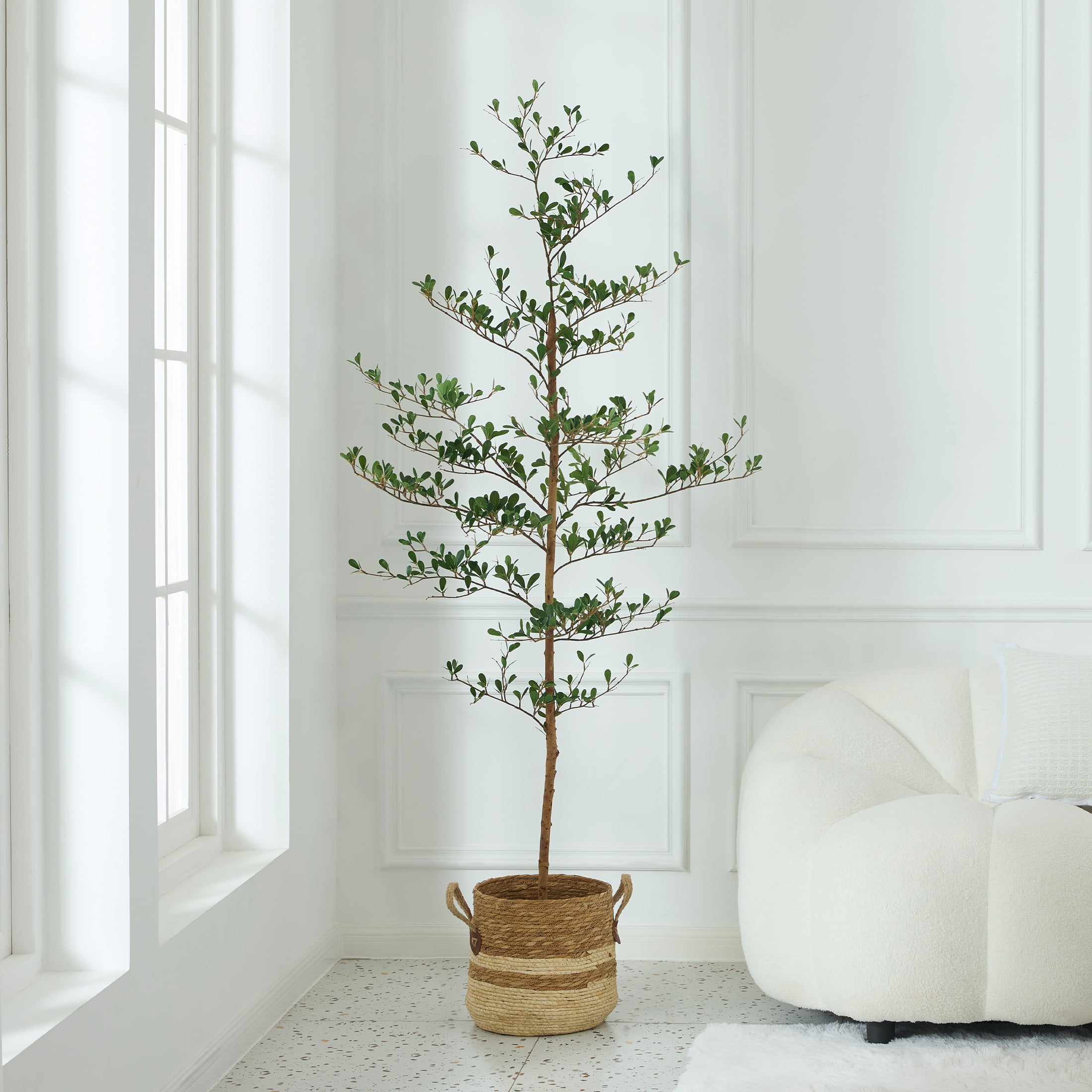 DR.Planzen 6ft Faux Black Olive Tree, Realistic Artificial Potted Plant with Natural Trunk and Silk Leaves (Black, 6 ft) nq7hy