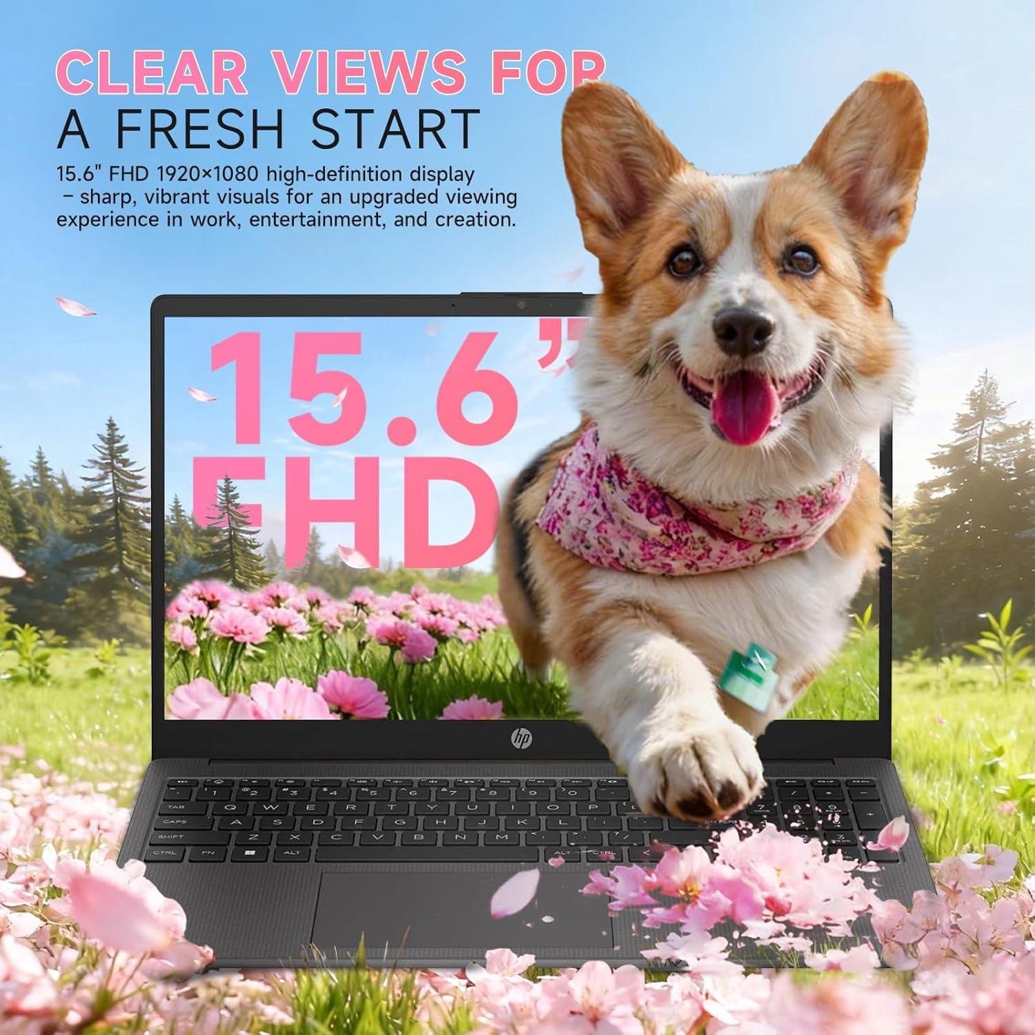 HP 255 G10 Business Laptop (15.6 in FHD, AMD Ryzen 7 7730U, 16GB RAM, 512GB SSD, Windows 11 Pro, Black) bhvy2