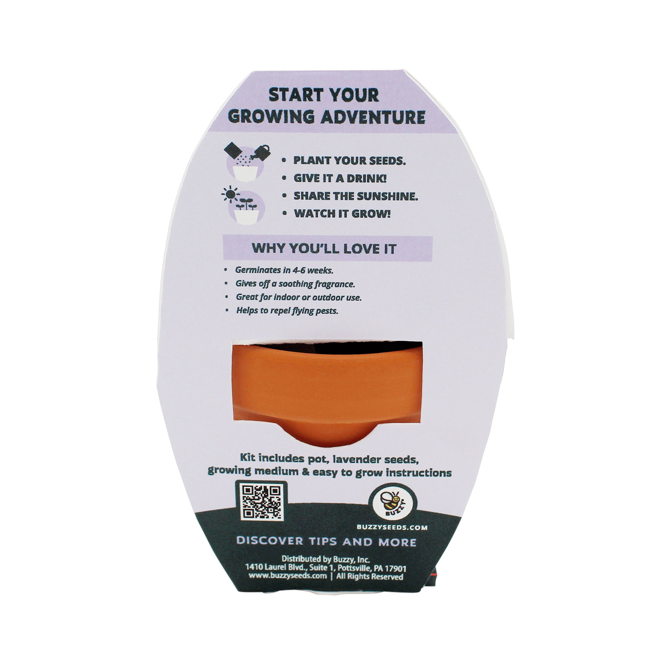 Buzzy Lavender Herb Growing Kit with Terra Cotta Pot (2.75 in) ve37s - Image 4