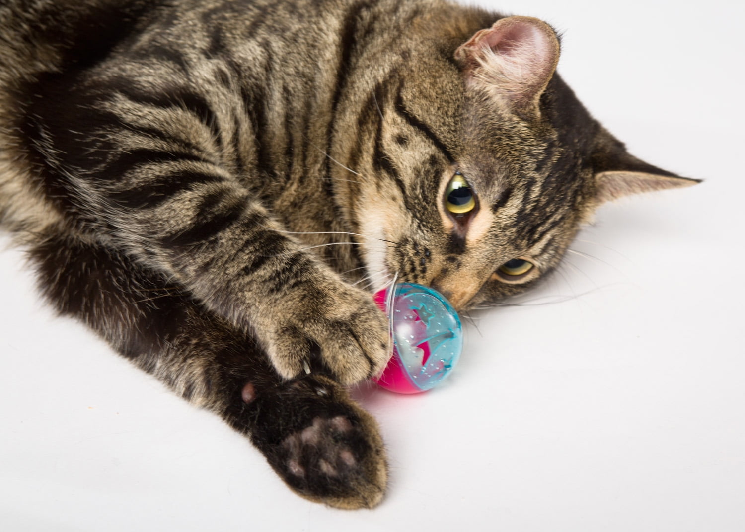Hartz Just For Cats Bizzy Balls Interactive Cat Toy (Multi-Color, 3 Pack) n7qkn - Image 2