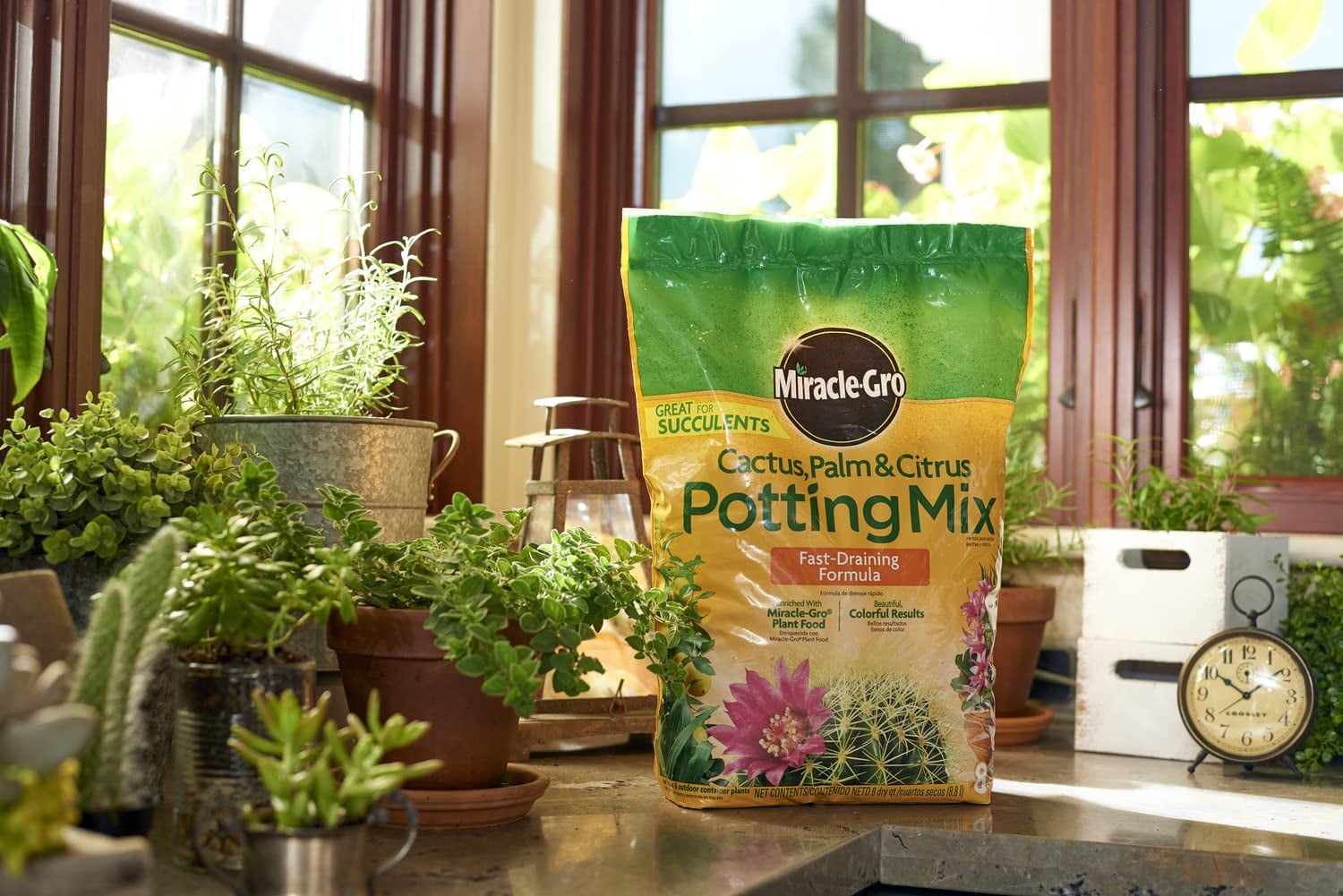 Miracle-Gro Cactus, Palm & Citrus Potting Mix (8 qt) ovibr
