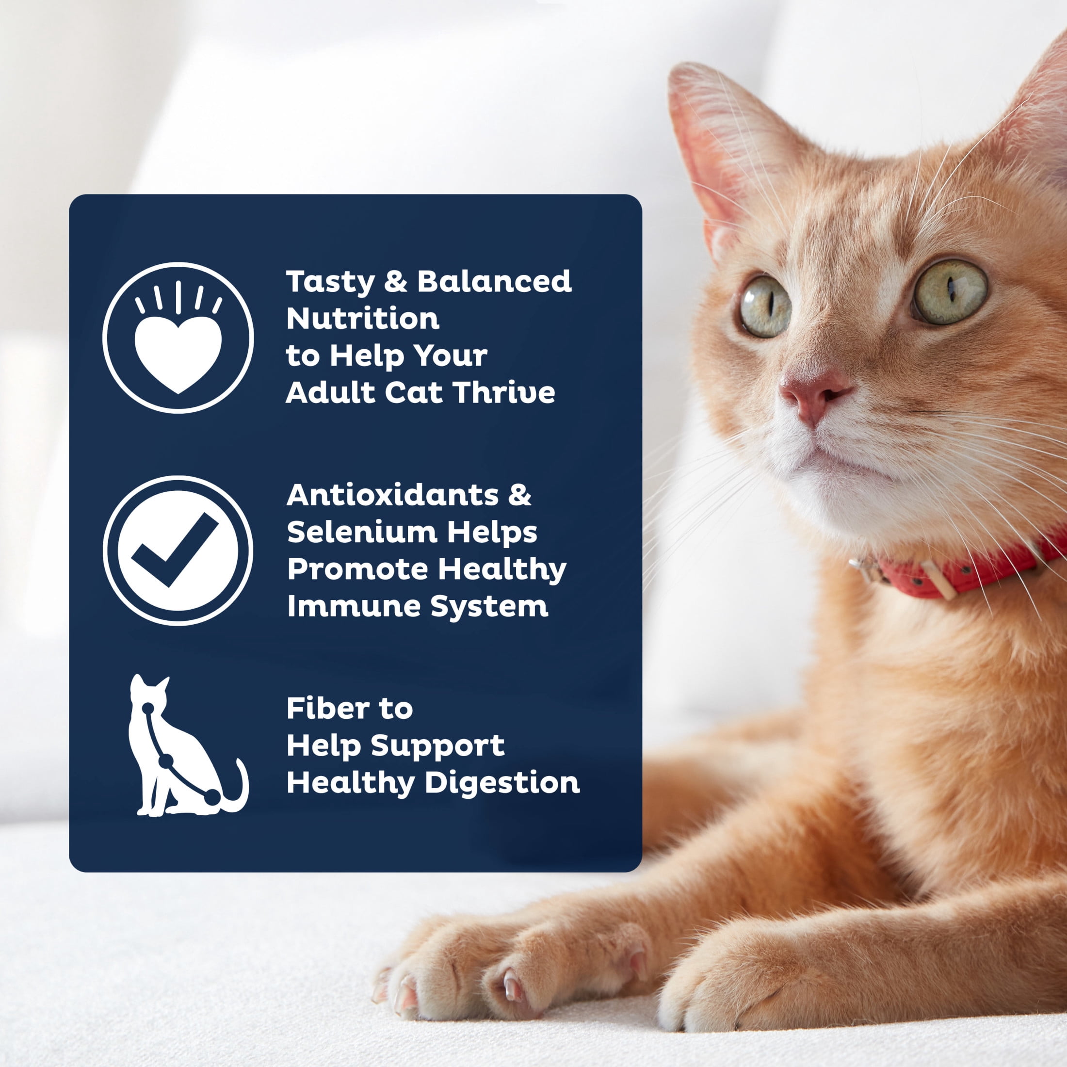 9Lives PLUS Urinary Tract Health Dry Cat Food (Tuna & Egg Flavor, 15.5 lb) 4smxb