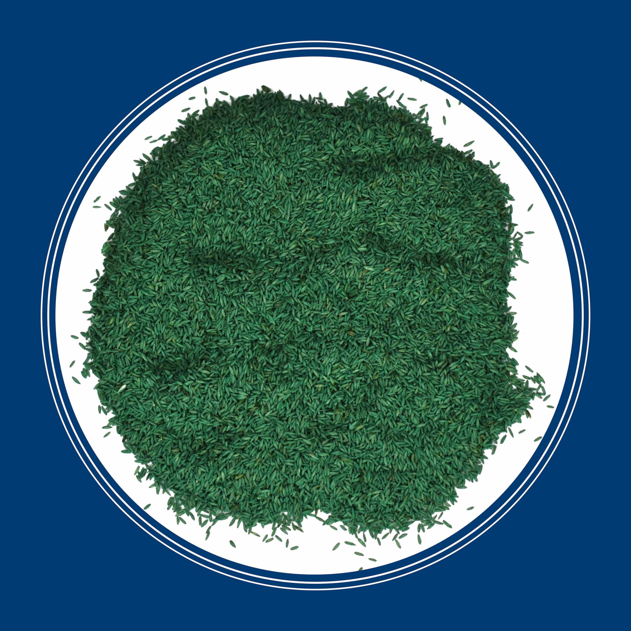 Pennington Kentucky Bluegrass Northern Grass Seed Mix (Sun to Partial Shade, 3 lb) 1u0vo