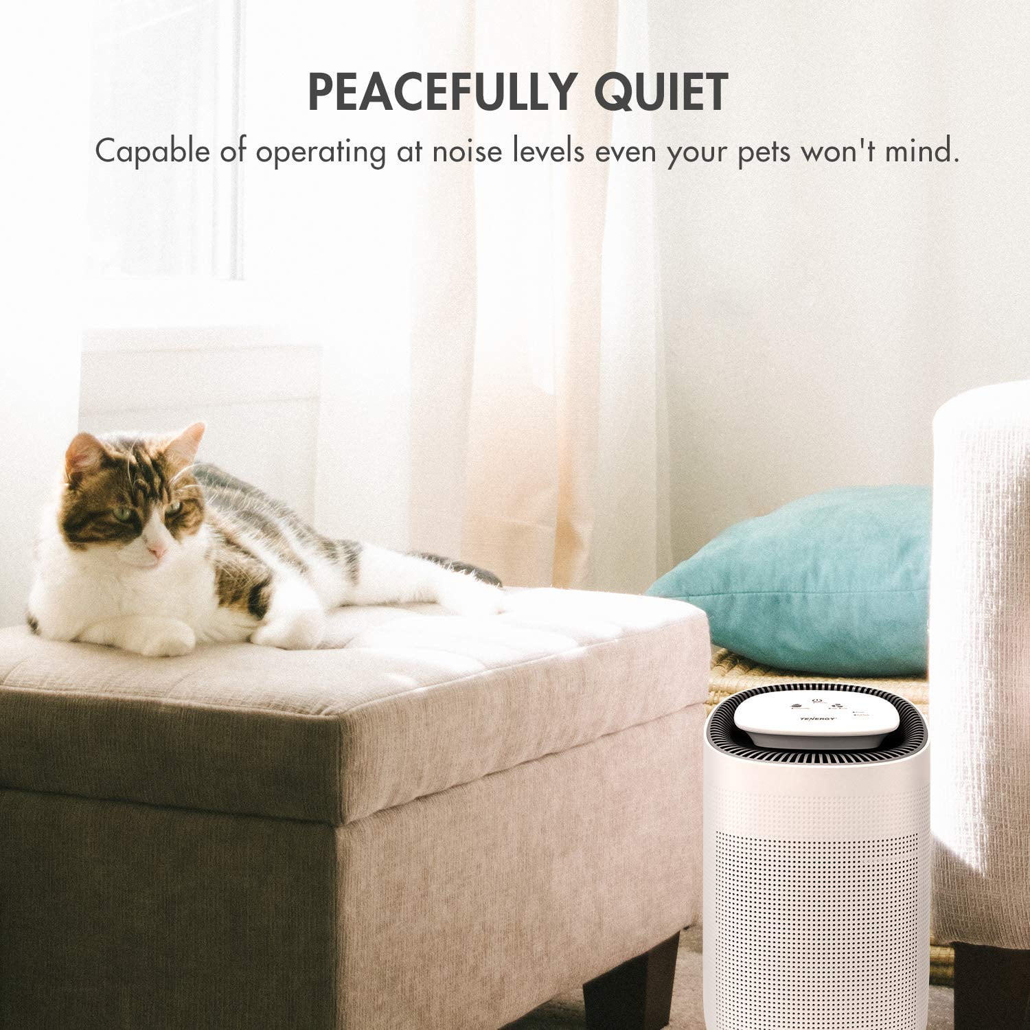 Tenergy Dehumidifier with HEPA Filter and Automatic Shutoff (White, 25.36 fl oz) 1ee3r