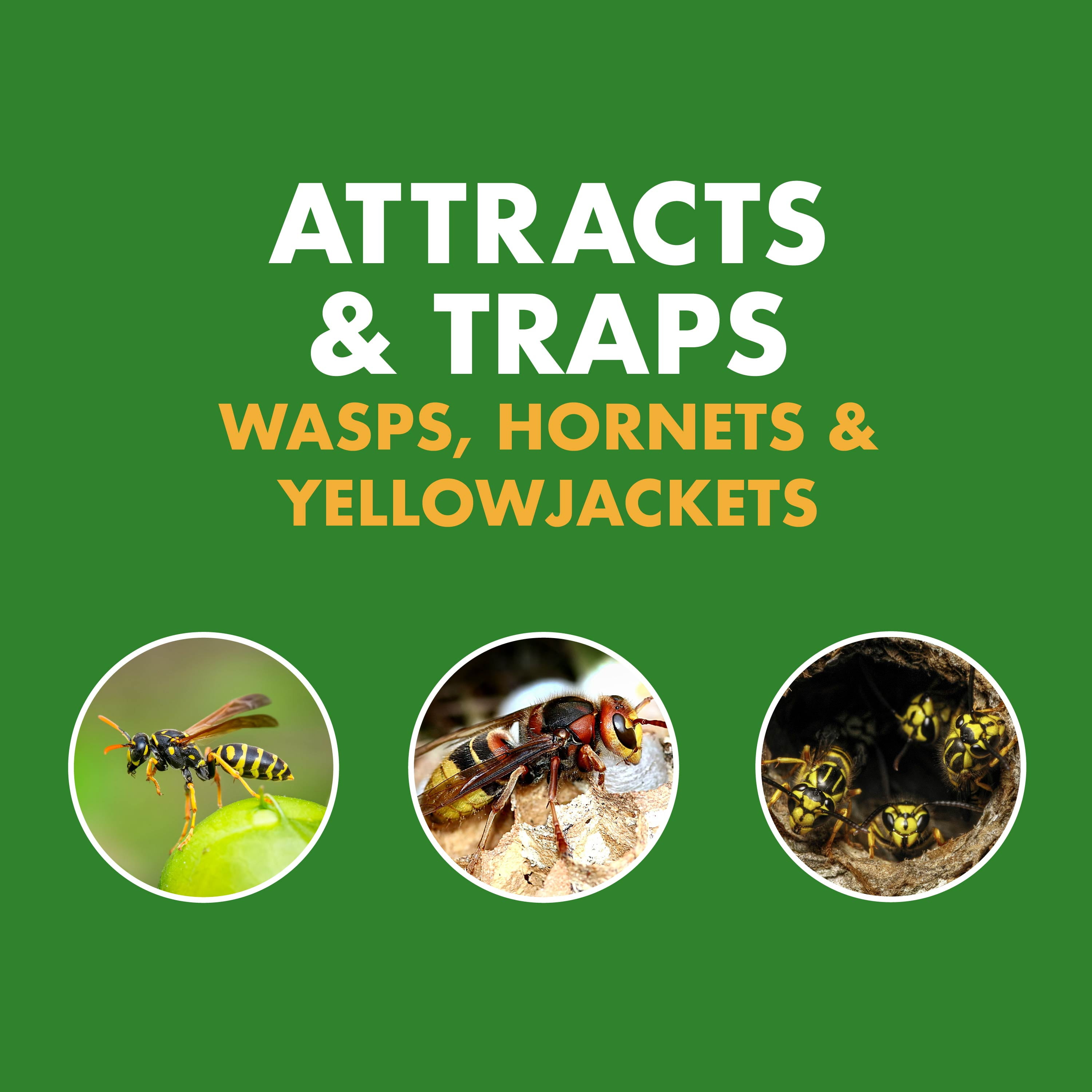 Spectracide Wasp, Hornet and Yellowjacket Trap, Quick-Drown Formula (1 Count) 5c723