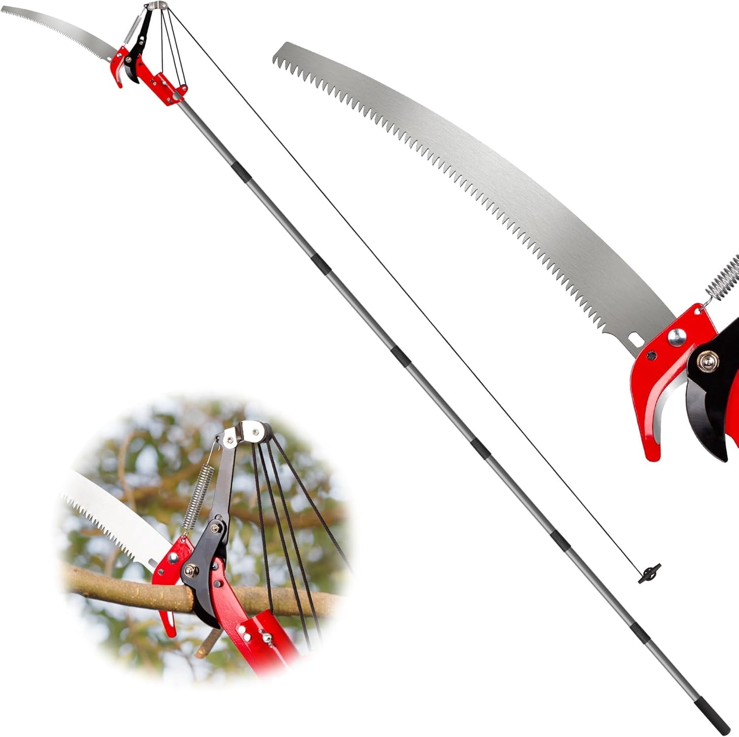 Suchtale Telescopic Pole Saw and Tree Pruner with Carbon Steel Blade (10 ft) ubfk4