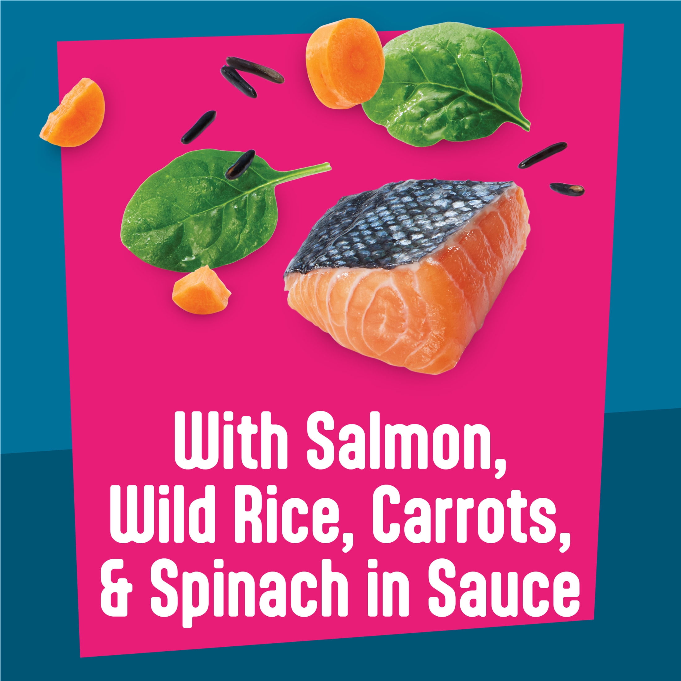 Friskies Lil' Soups Wet Cat Food Salmon Recipe (Savory Broth, 5.5 oz) ww4yn
