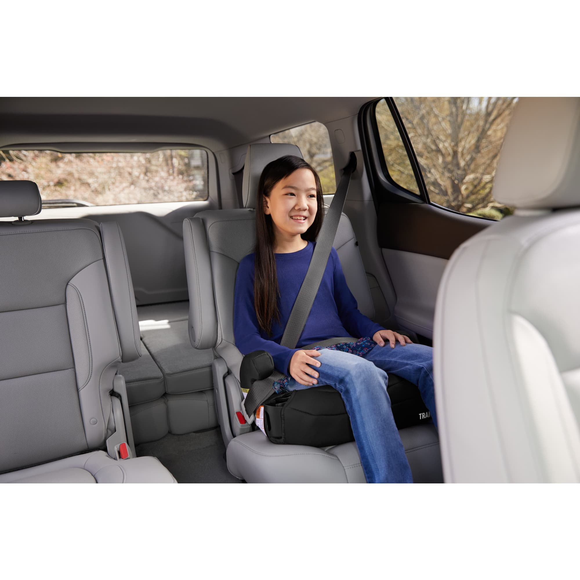 Graco Tranzitions 3-in-1 Harness Booster Car Seat (Beige, 1 Count) xfab4