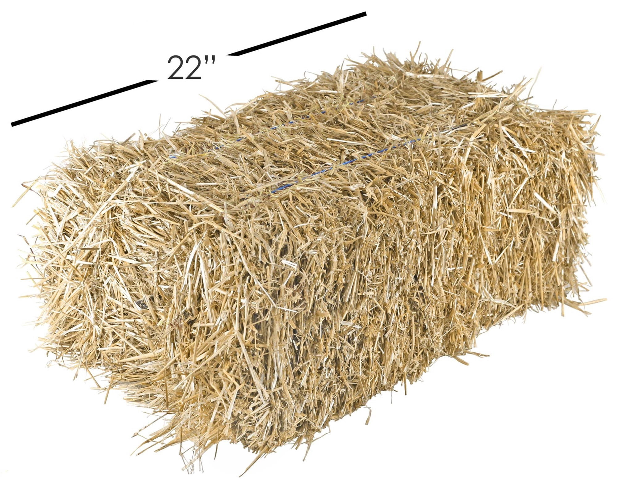 Garden Elements Natural Wheat Straw Bale for Gardening and Animal Bedding (Beige, 22 in) 2ifq5