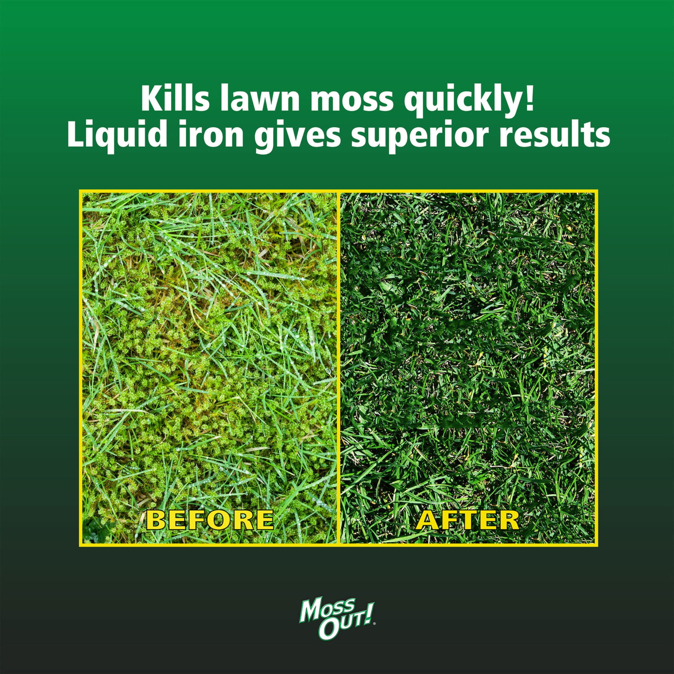 Lilly Miller Moss Out! Lawn Moss Killer Herbicide Concentrate (128 fl oz) nnw33