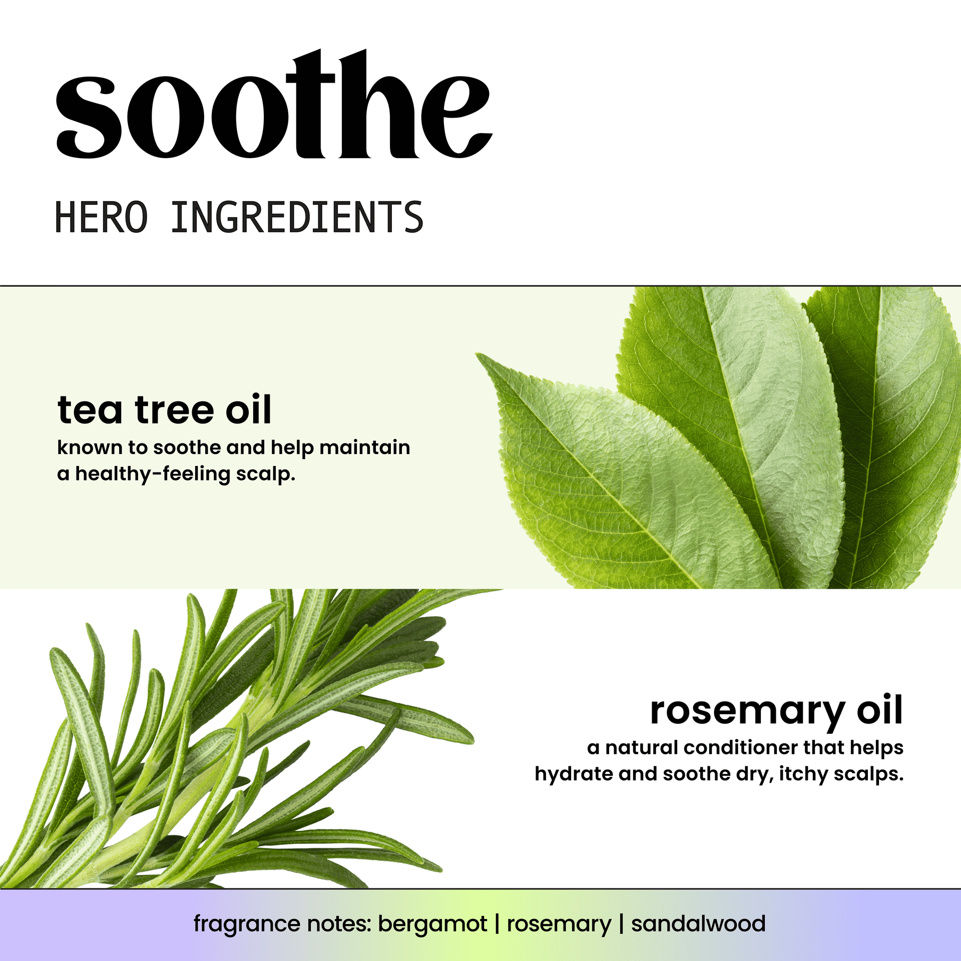 Hask Soothe Tea Tree Oil Scalp Care Shampoo (16 fl oz) daev0
