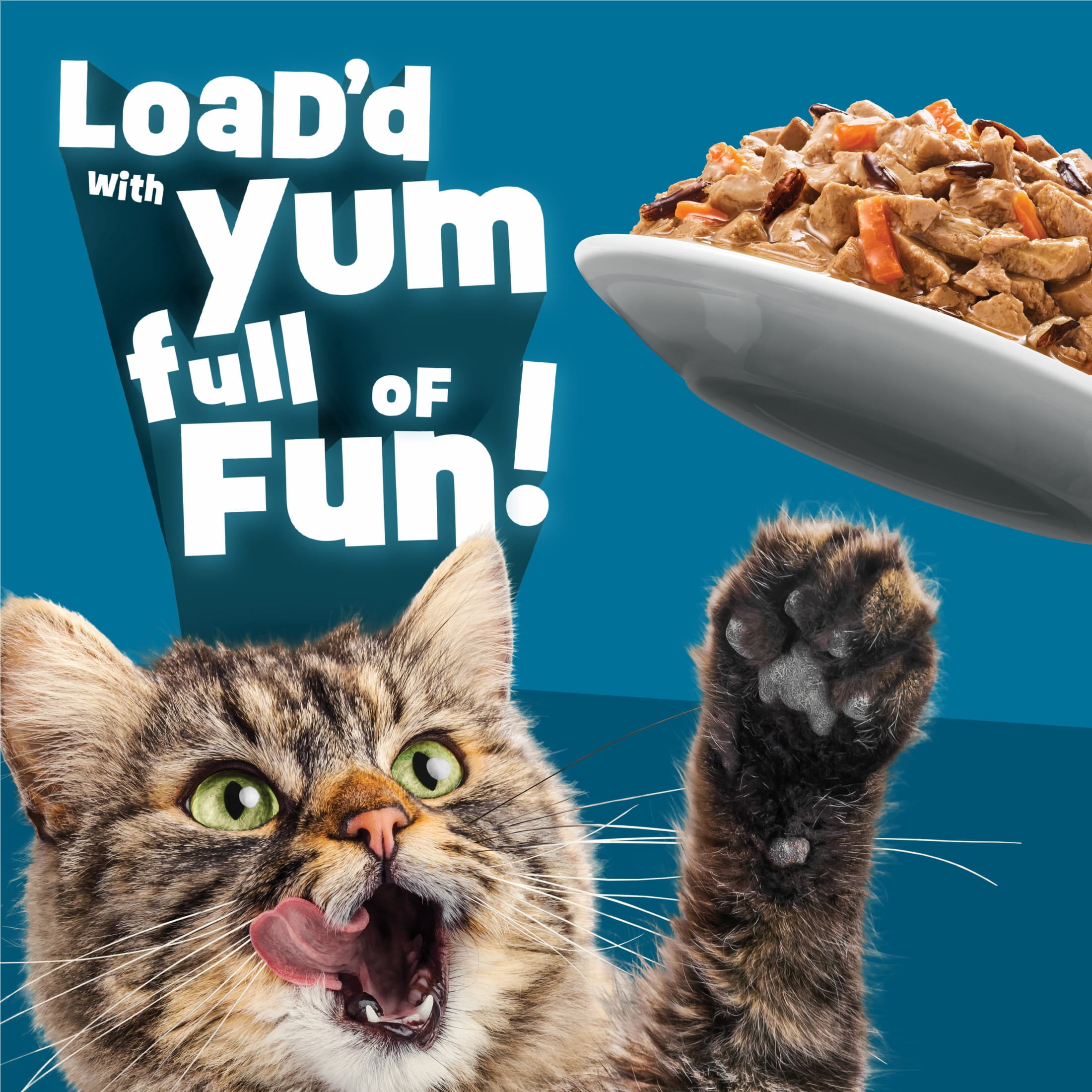 Friskies Lil' Soups Wet Cat Food Salmon Recipe (Savory Broth, 5.5 oz) ww4yn