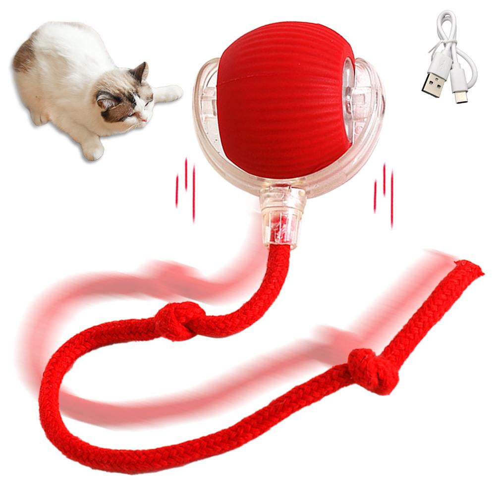 Wmool Interactive Cat Toy Ball, Motion Activated Electric Rolling Toy with LED Rainbow Lights and Long Tail (USB Rechargeable, 3 Working Modes) i0n26