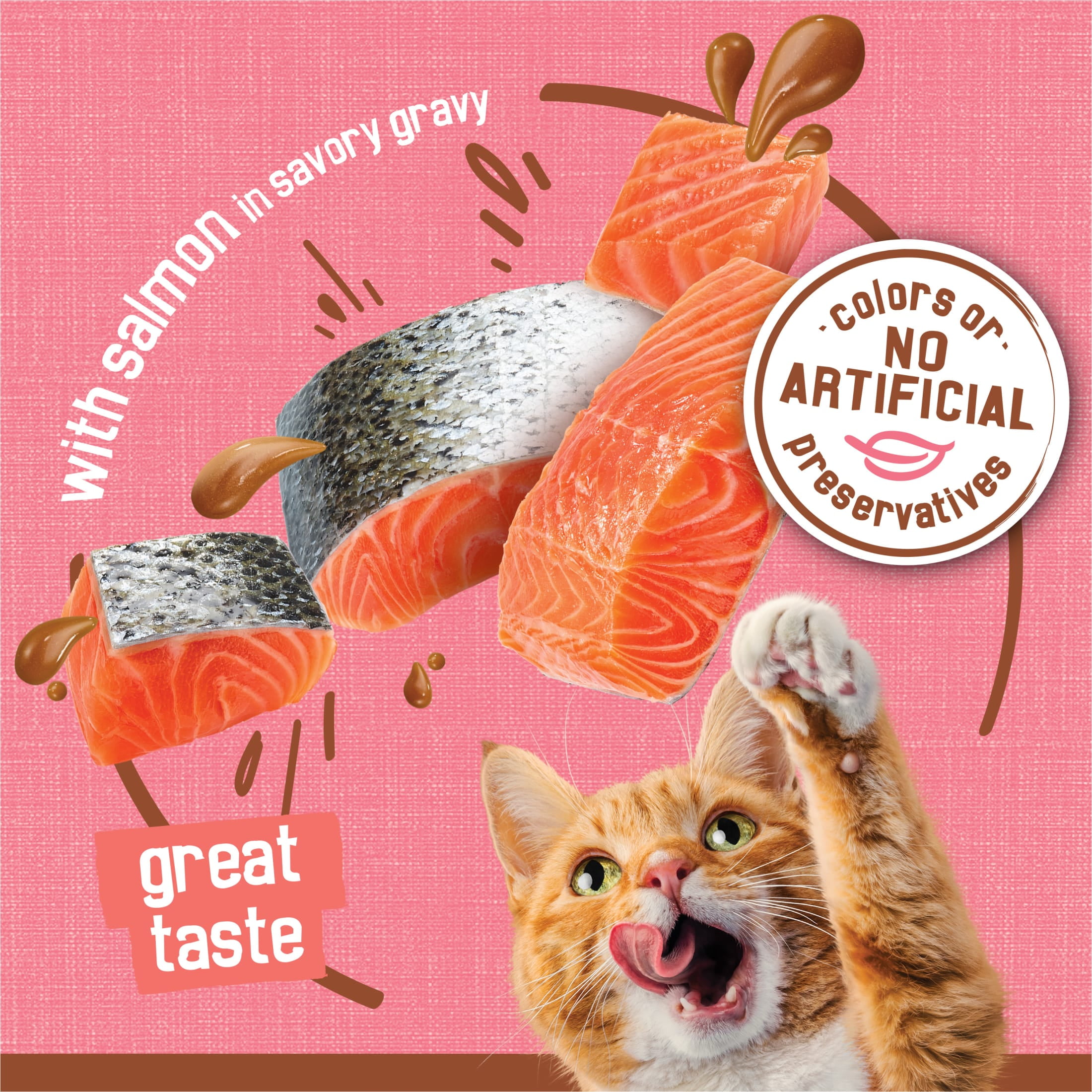Friskies Extra Gravy Chunky Salmon Wet Cat Food (Salmon, 5.5 oz) fll9e