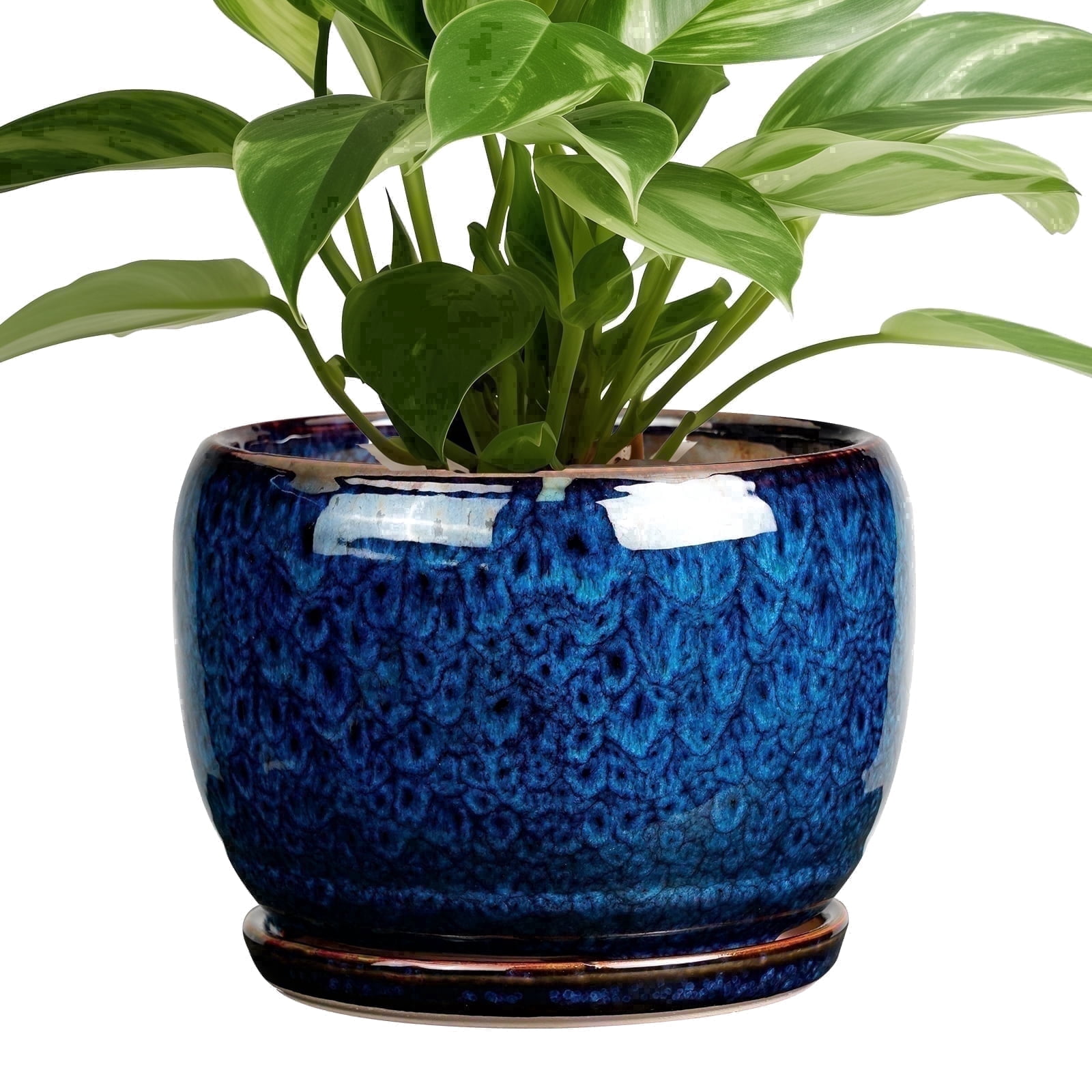 Ordivic Ceramic Planter with Drainage Hole and Saucer for Indoor Plants (Blue, 6 in) eag6w