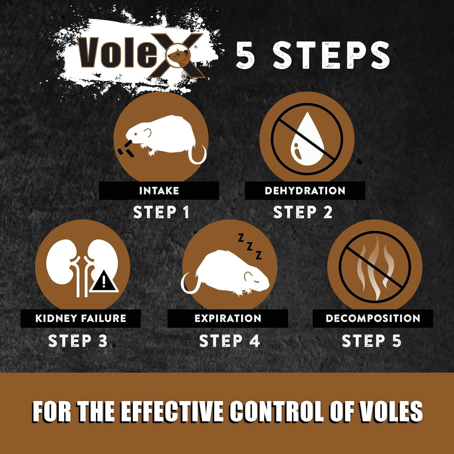VoleX Vole Killer and Repellent Bait Pellets (Natural Mechanical Action, 8 oz) rzv69