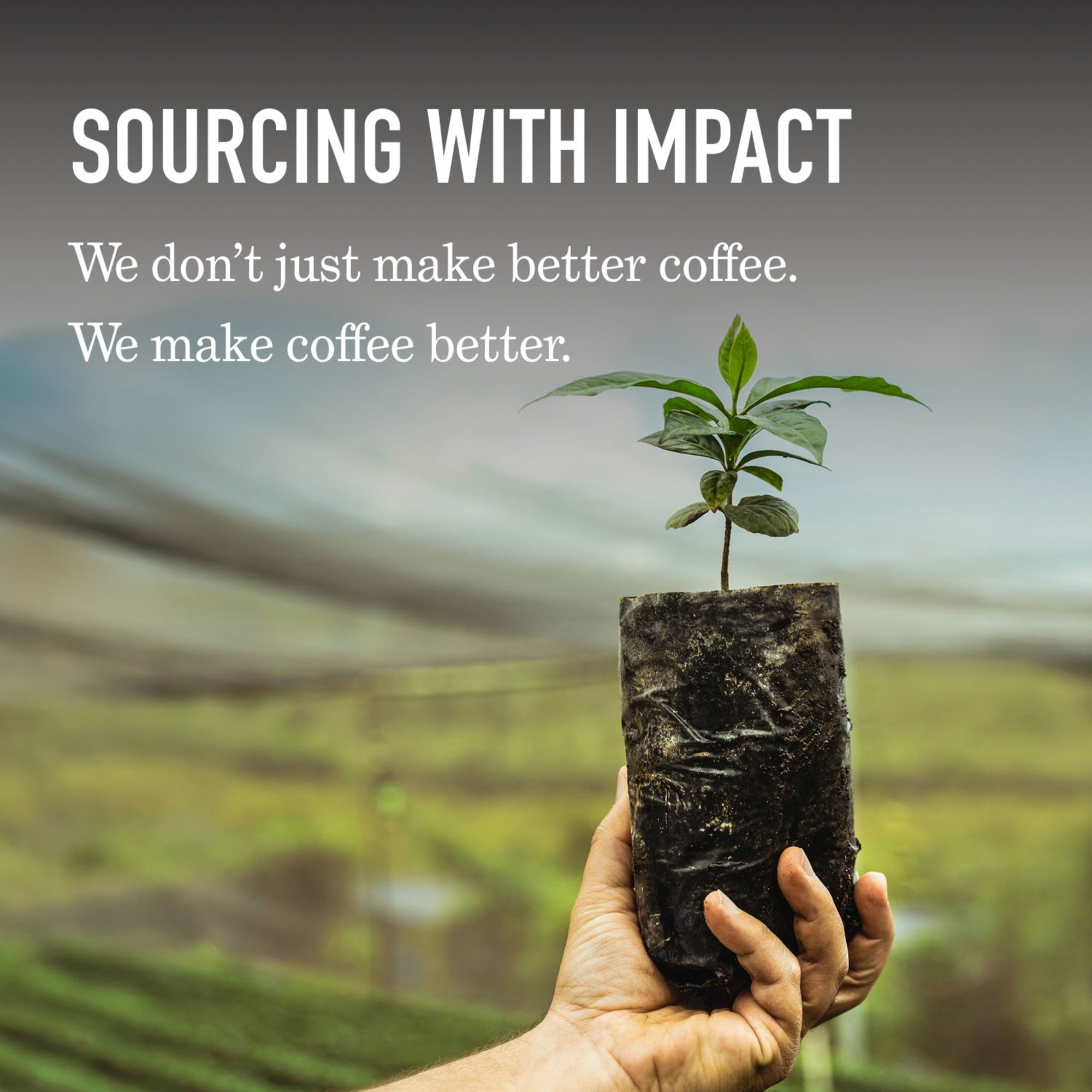 Peet's Coffee Organic French Roast Dark Roast Ground Coffee (18 oz) r0ukb