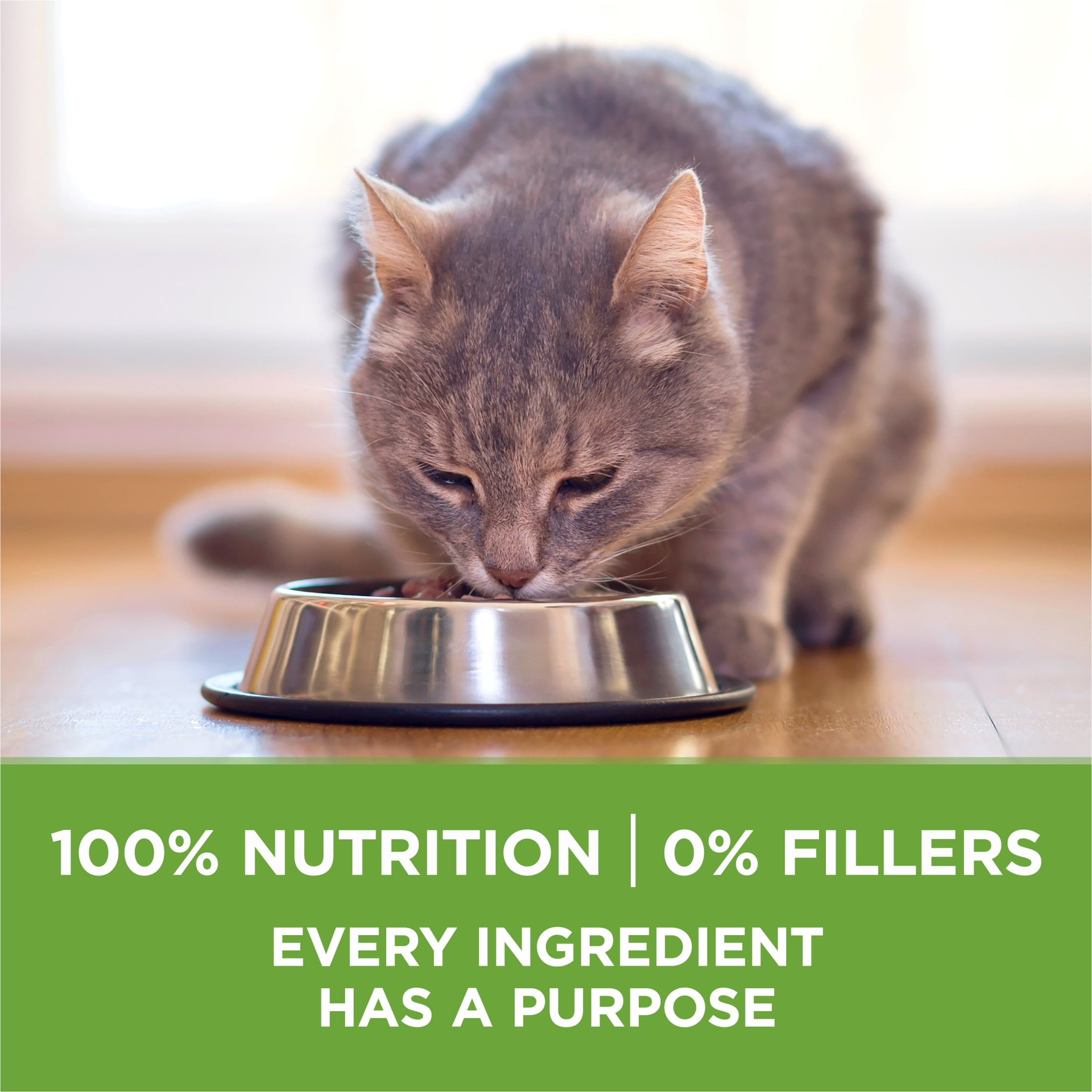 Purina ONE Plus Indoor Advantage Dry Cat Food, Turkey Recipe (7 lb) ymwtm