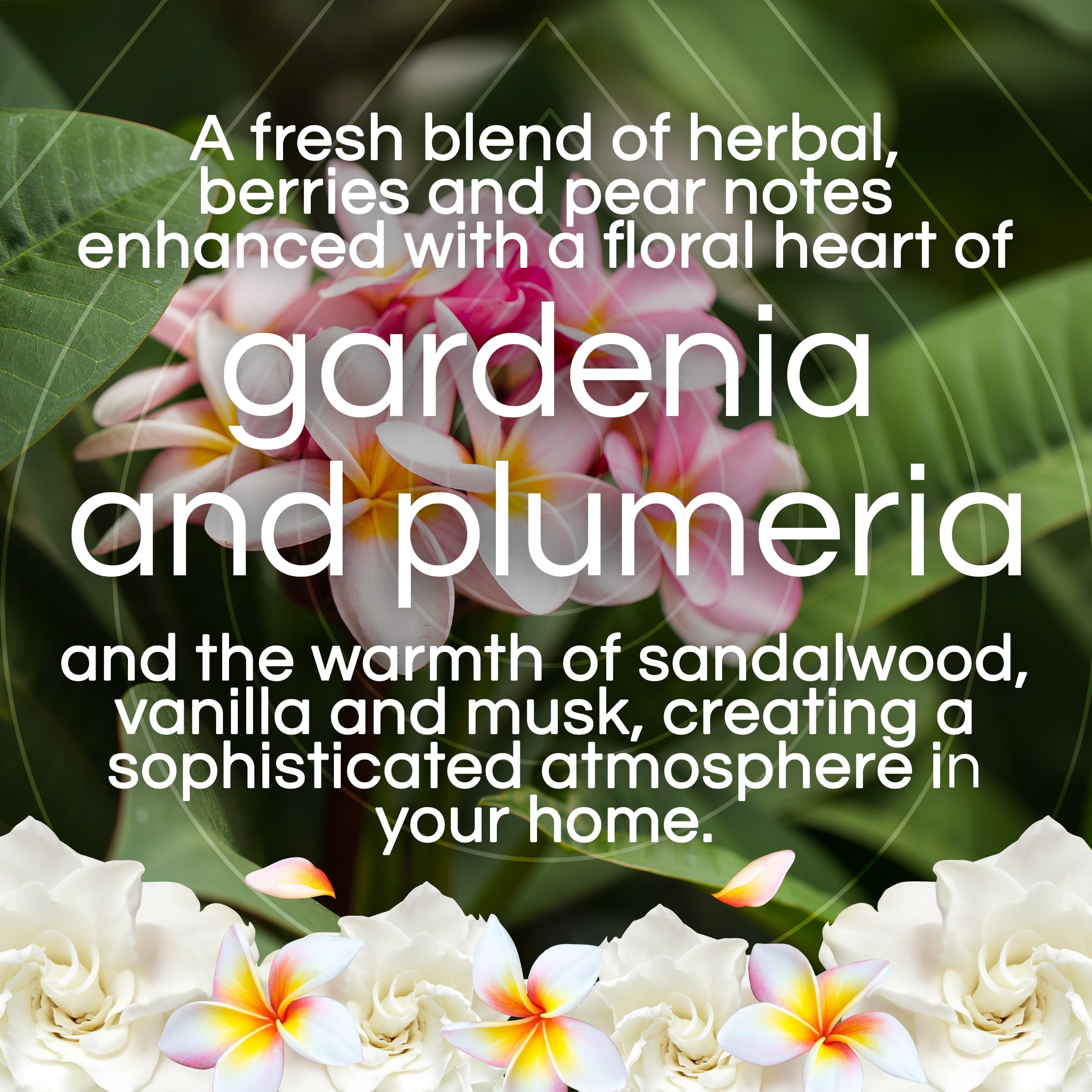 Air Wick Vibrant Plug-In Scented Oil Refills, White Gardenia and Plumeria, Long-Lasting Home Fragrance (5 Count) lknfj