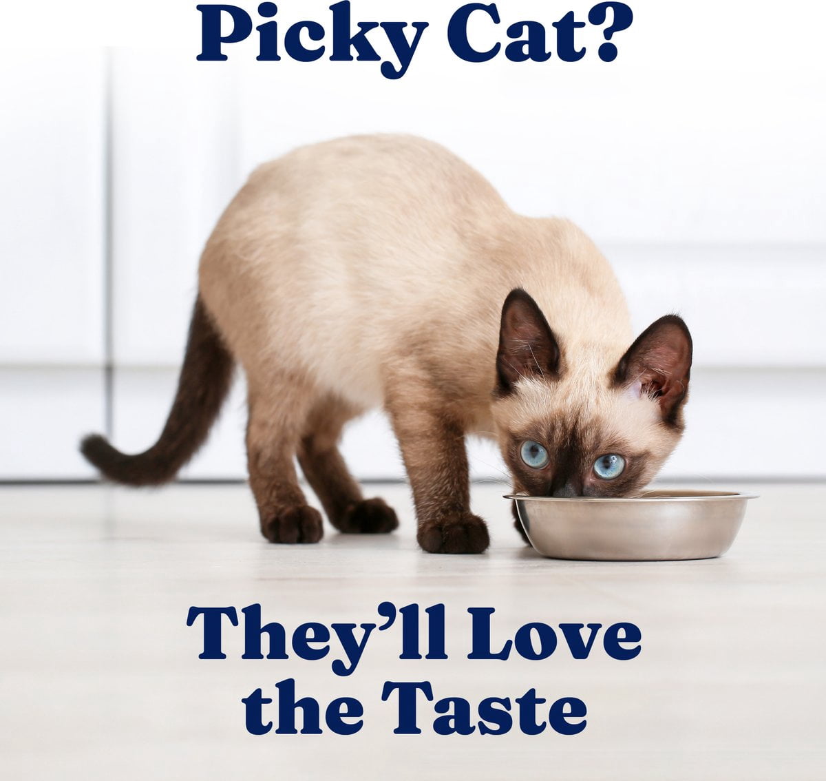 Solid Gold Five Oceans Mackerel & Tuna Shreds in Gravy Wet Cat Food (3 oz) diemi