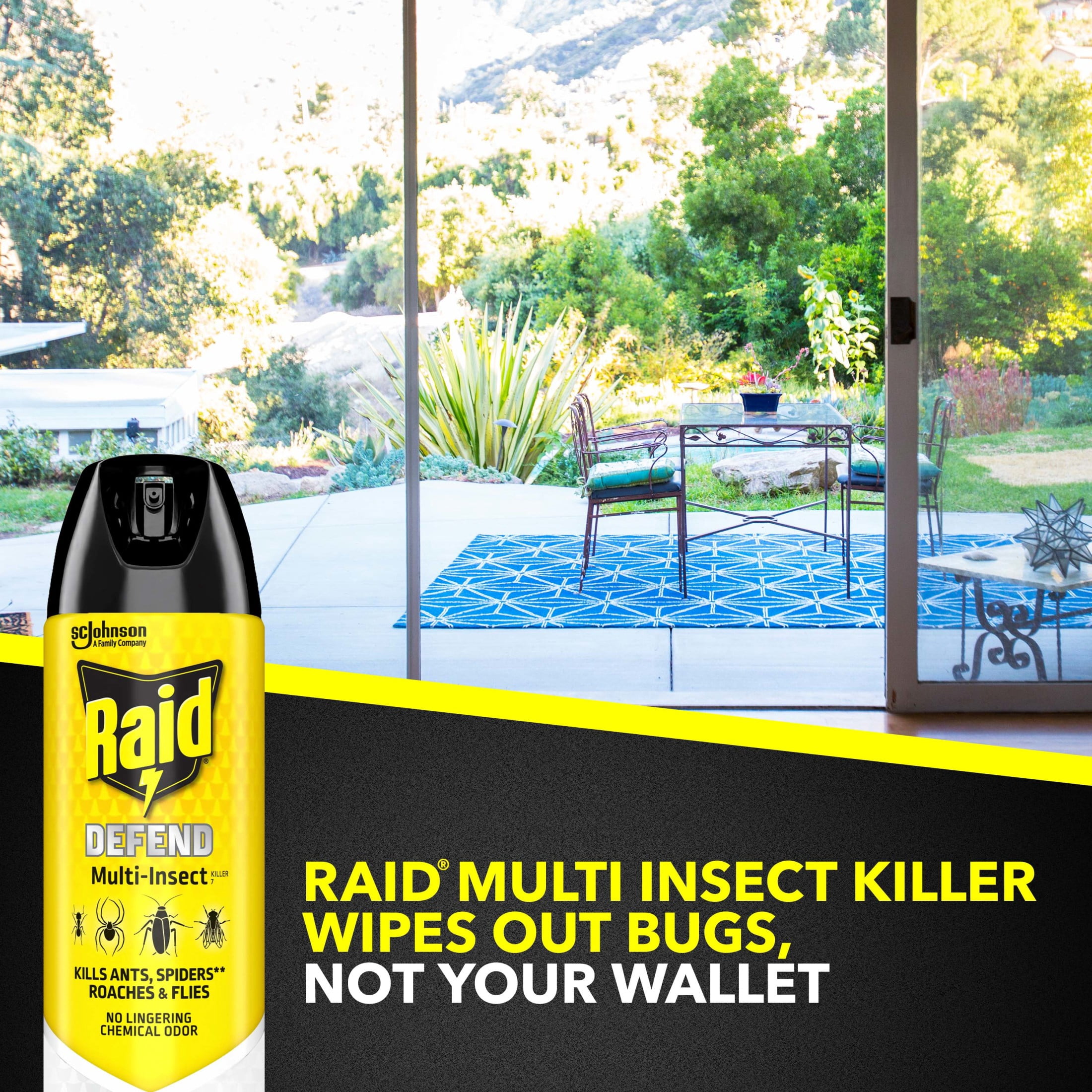 Raid Multi-Insect Killer Spray for Indoor and Outdoor Use (15 oz) ikq5t