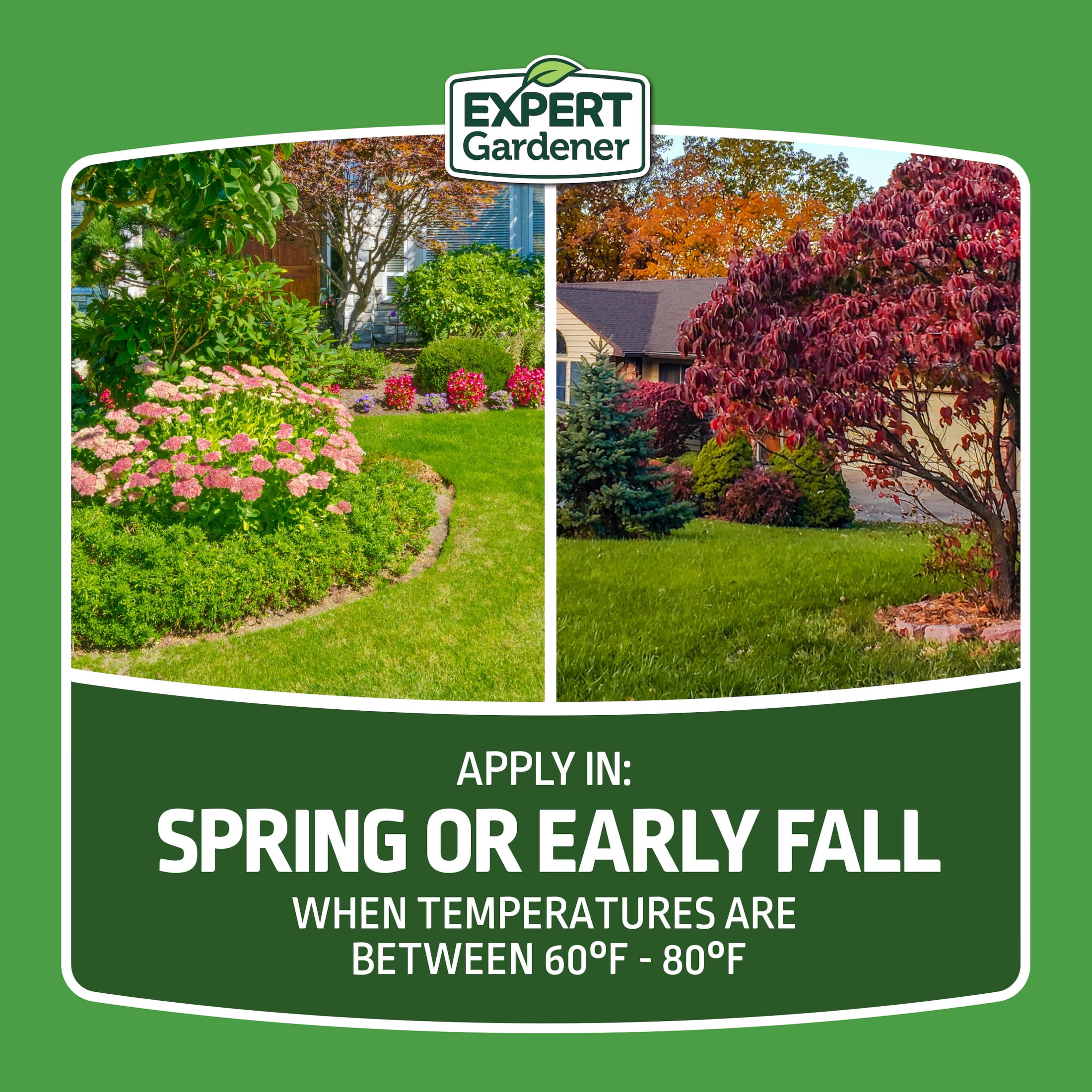 Expert Gardener Tall Fescue Grass Seed Mix (Sun to Partial Shade, 20 lb) m11y6
