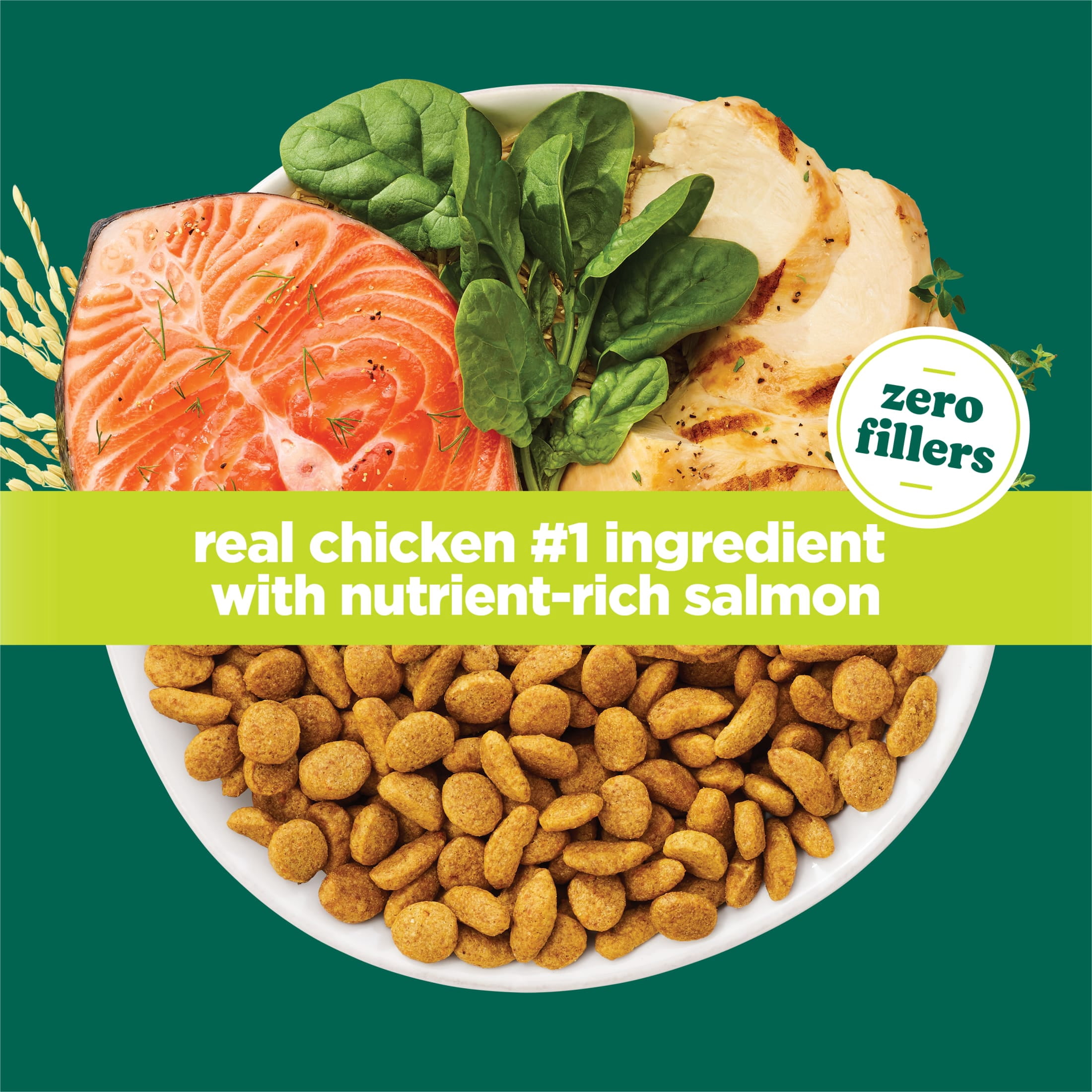Purina Cat Chow Naturals Dry Cat Food, Chicken and Salmon Recipe (18 lb) fncso