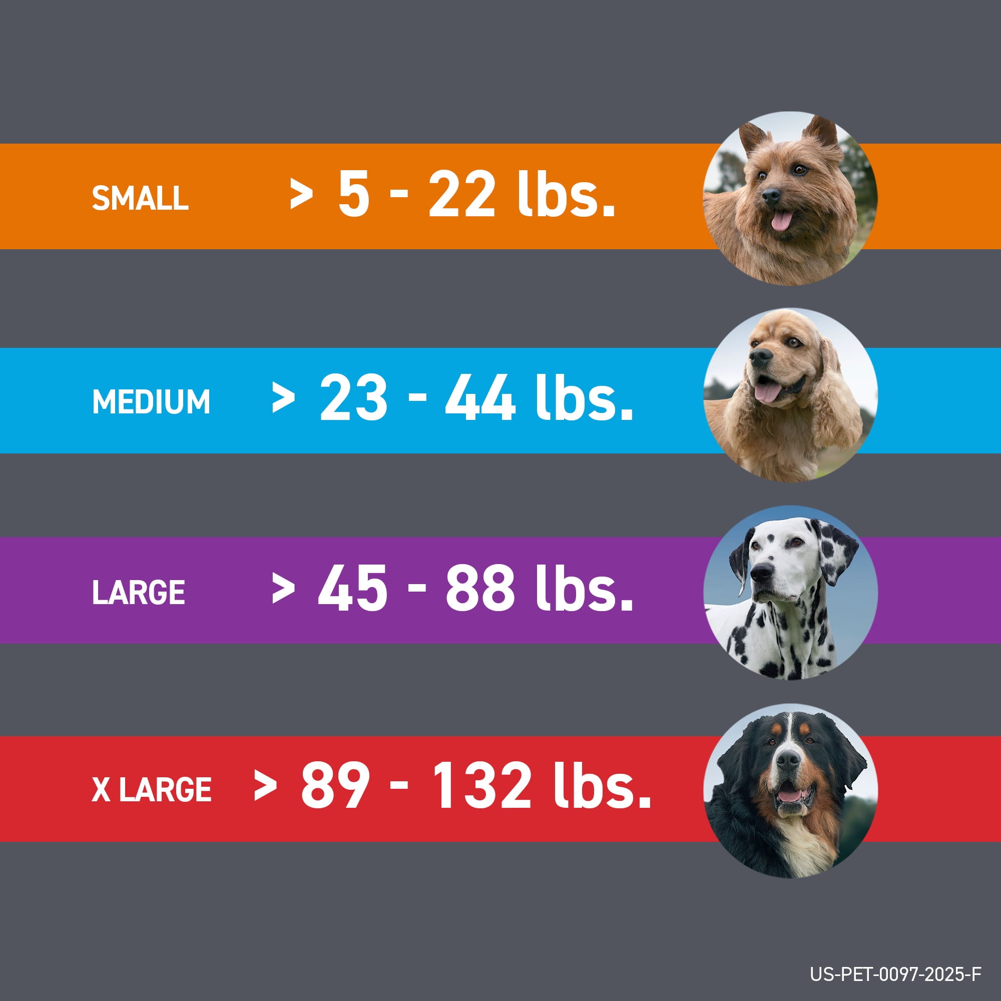 FRONTLINE Plus Flea and Tick Treatment for Small Dogs (5-22 lbs, 3 Count) ynr9m