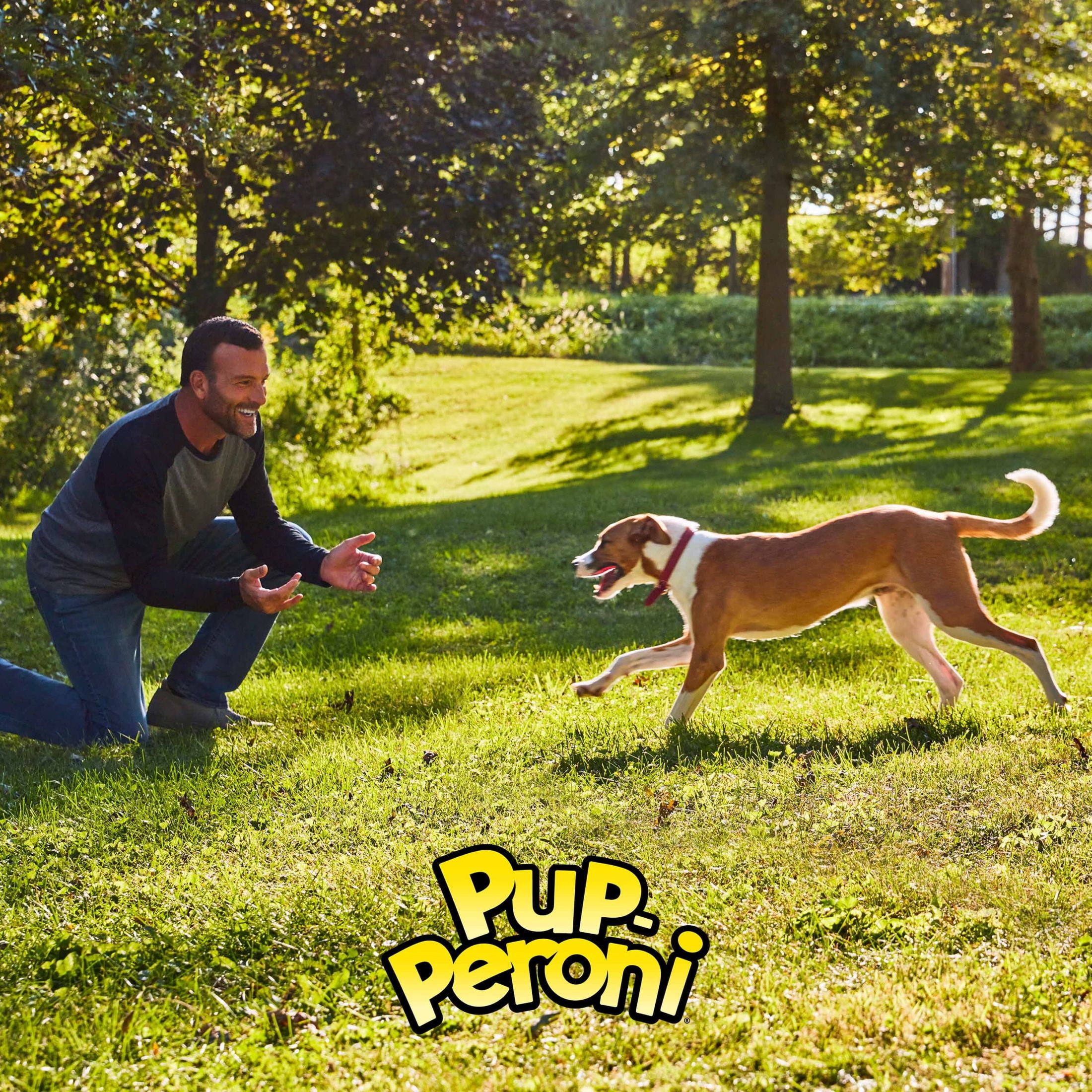 Pup-Peroni Filet Mignon & Bacon Flavor Dog Treats (5.6 oz) g9l7j