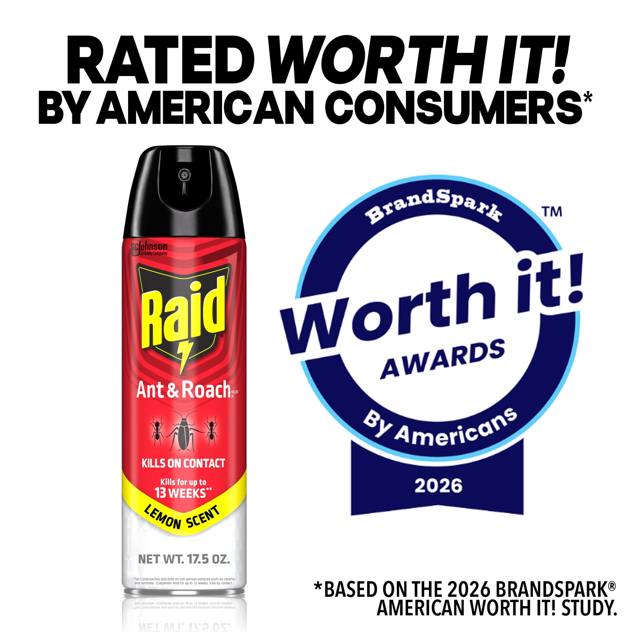 Raid Ant and Roach Insect Killer Spray, Lemon Scented Indoor Pest Control (17.5 oz) 5pq18