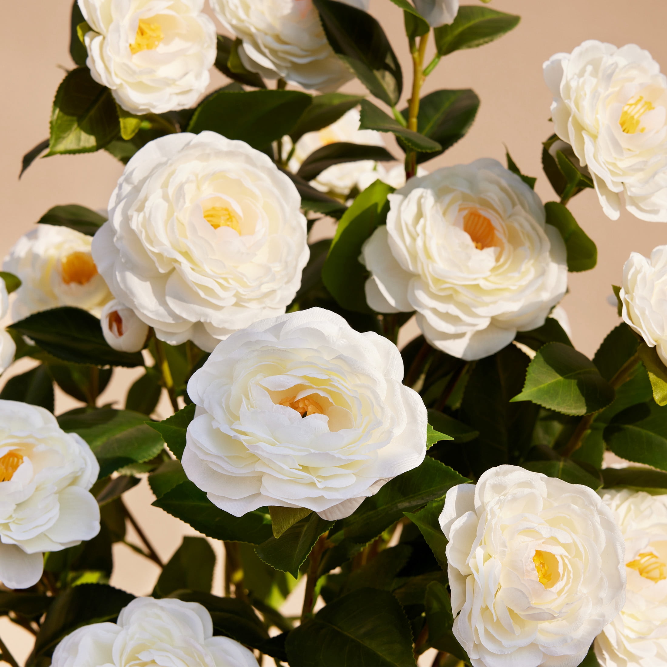 DR.Planzen Artificial Camellia Tree Potted Faux Plant for Indoor Decor (White, 2 ft, 2 Pack) rj8d5