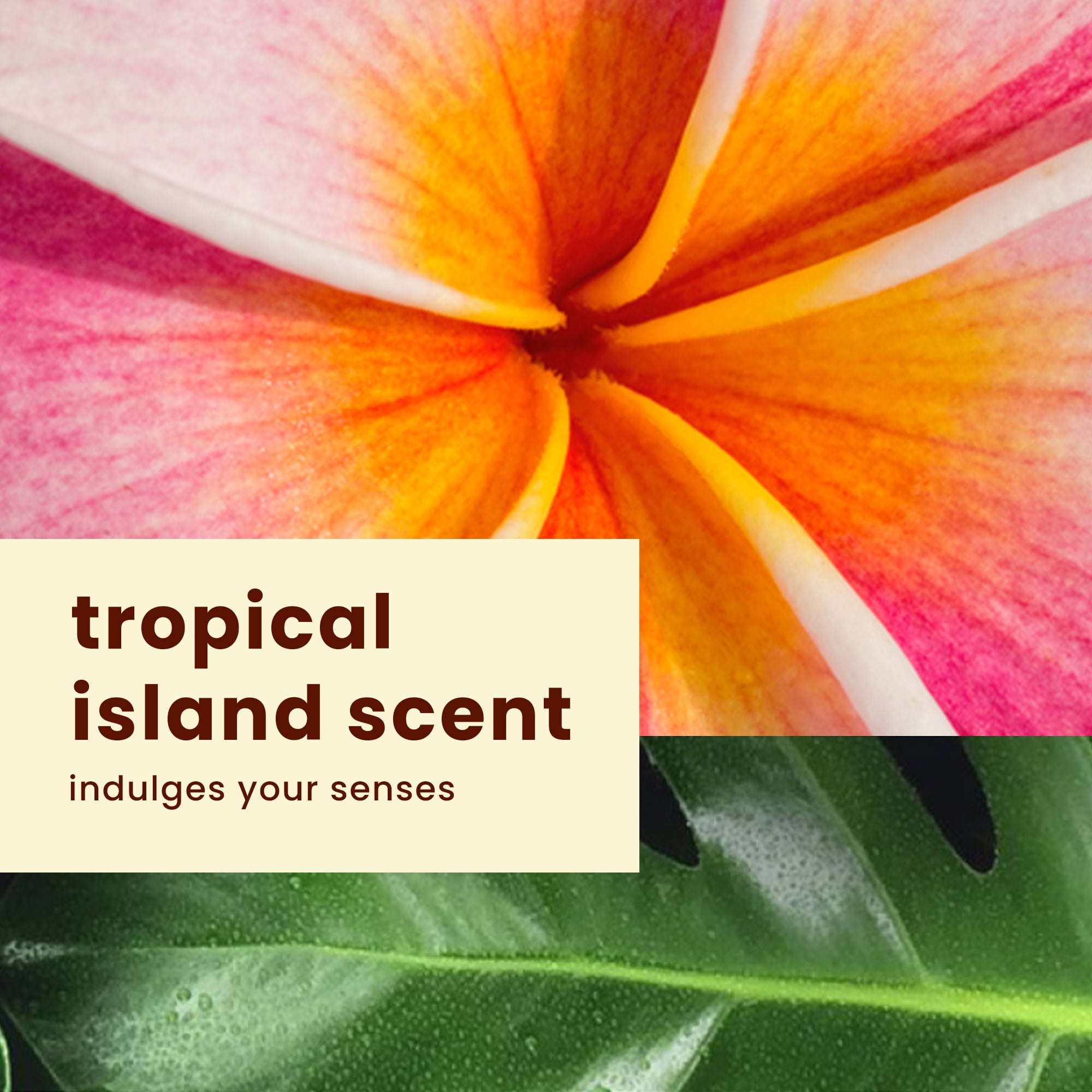 Hawaiian Tropic Sheer Touch Ultra Radiance Sunscreen Lotion SPF 30 (8 oz) z0egs