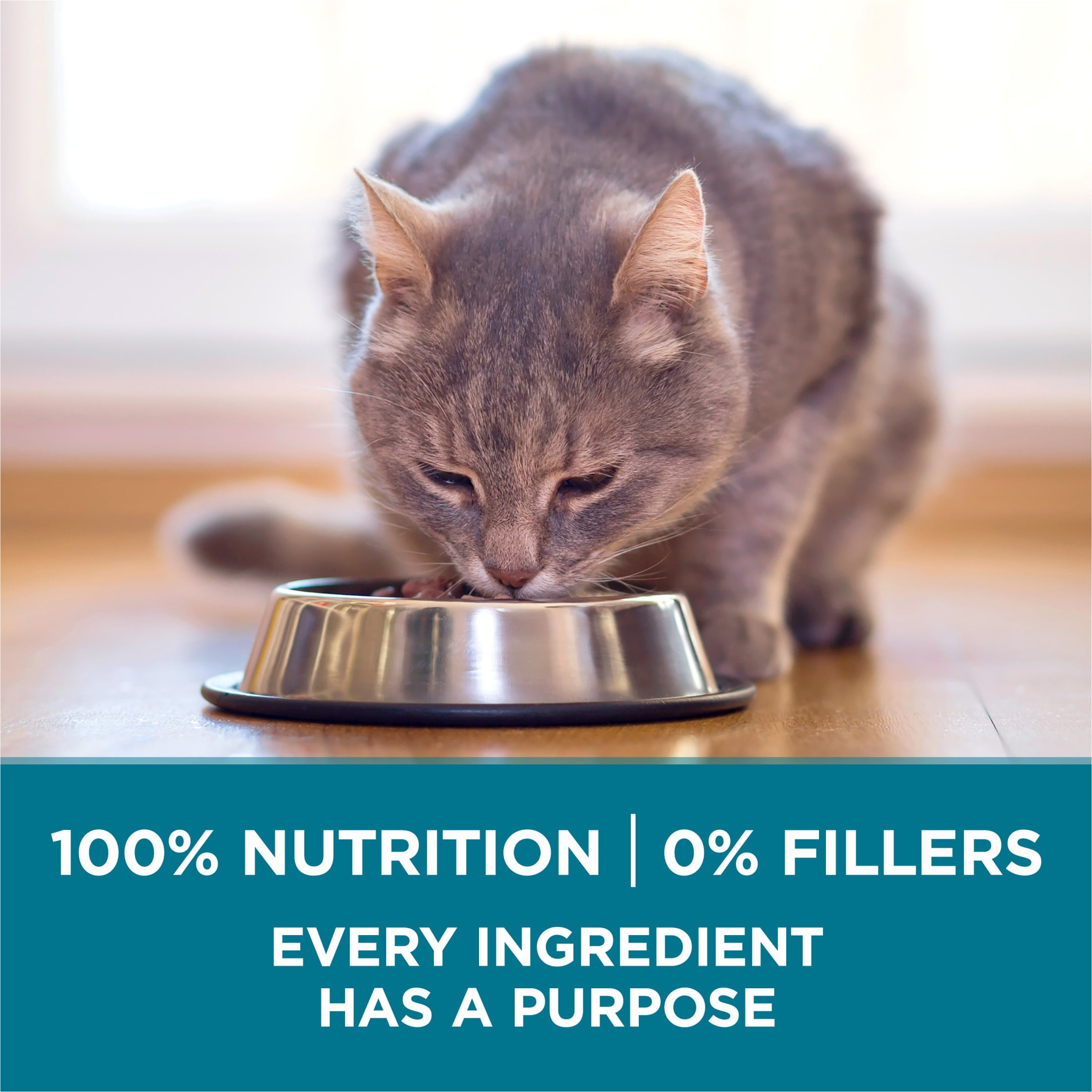 Purina ONE Tender Select Blends Dry Cat Food, Real Salmon Recipe (16 lb) 85u50