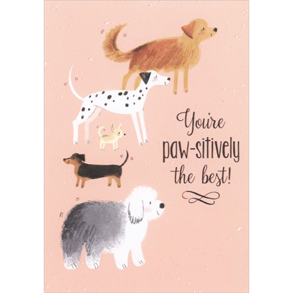 Designer Greetings Father's Day Greeting Card from Dog, Five Dogs Design (5.25 in x 7.5 in) hf9ru