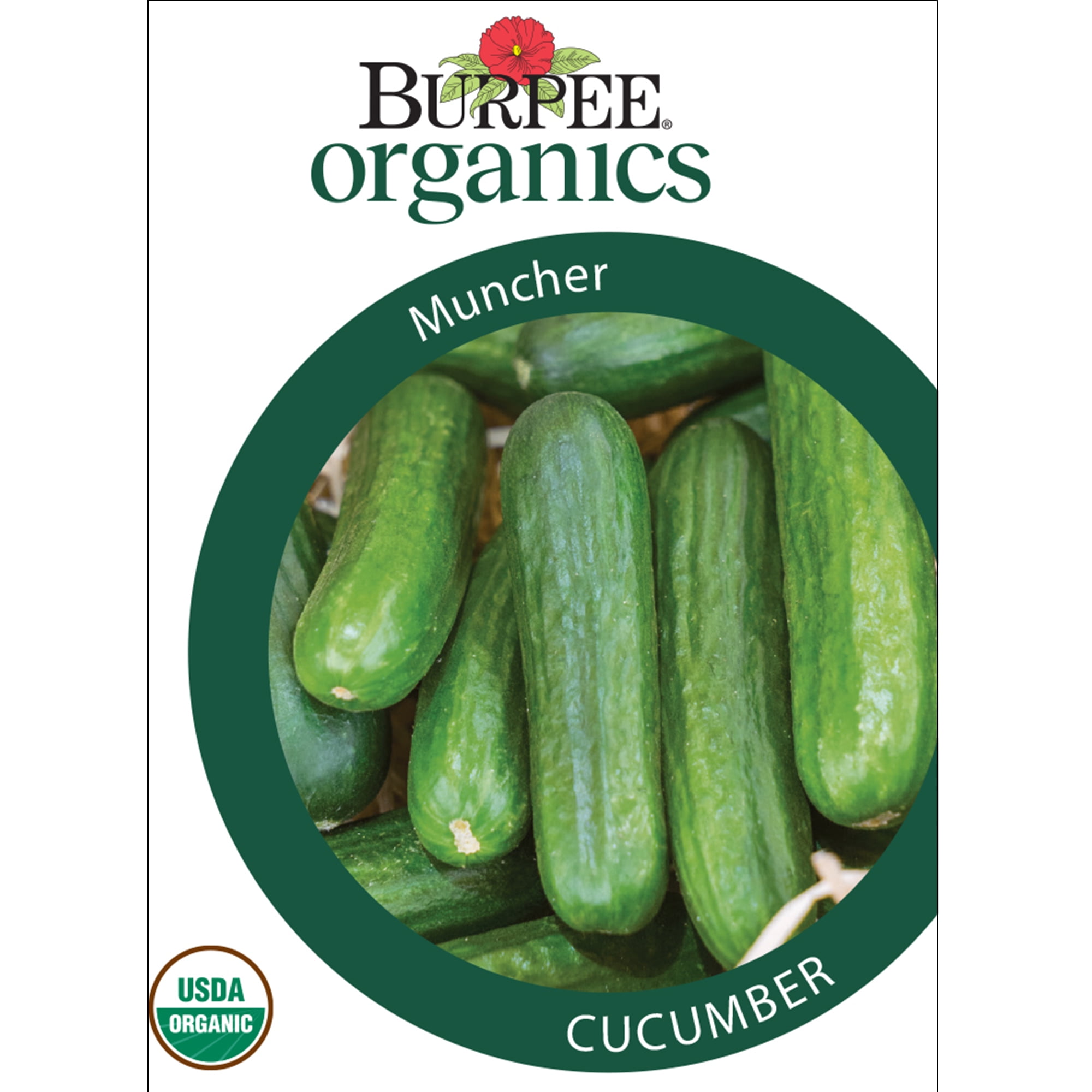 Burpee Organic Muncher Cucumber Seeds (Heirloom Vegetable, 6-9 in) utgis