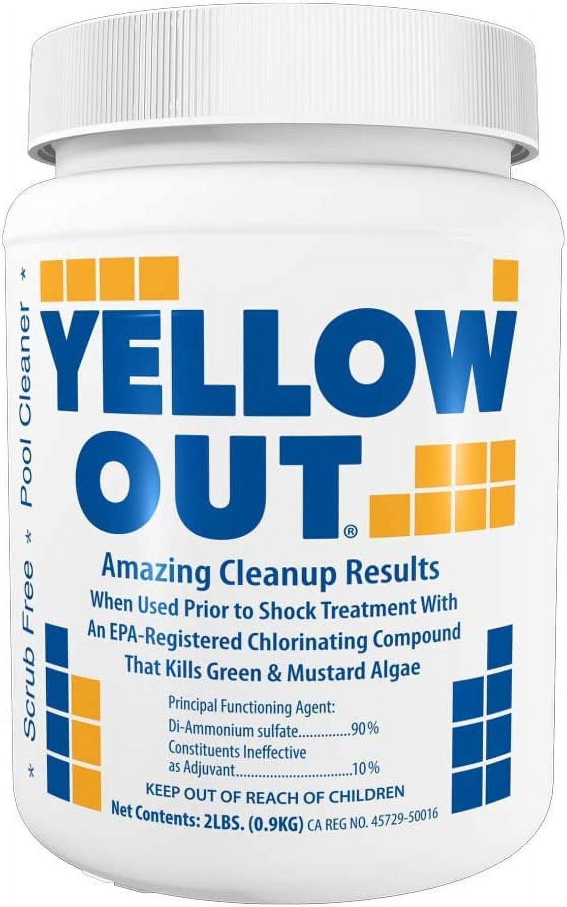 Coral Seas YELLOWOUT Pool Algaecide Treatment for Yellow and Mustard Algae (2 lb) mrjis