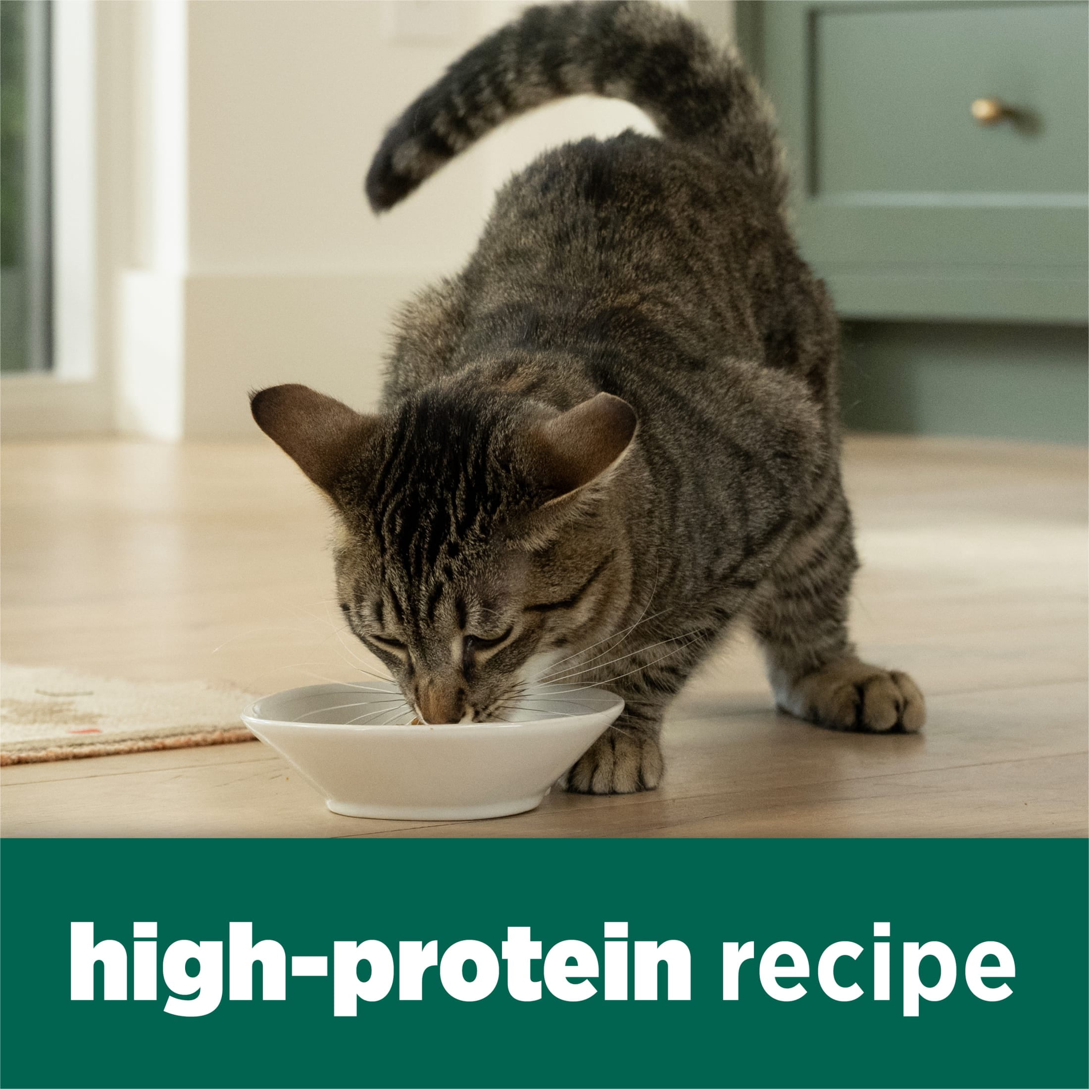 Purina Cat Chow Naturals Dry Cat Food, Chicken and Salmon Recipe (18 lb) fncso