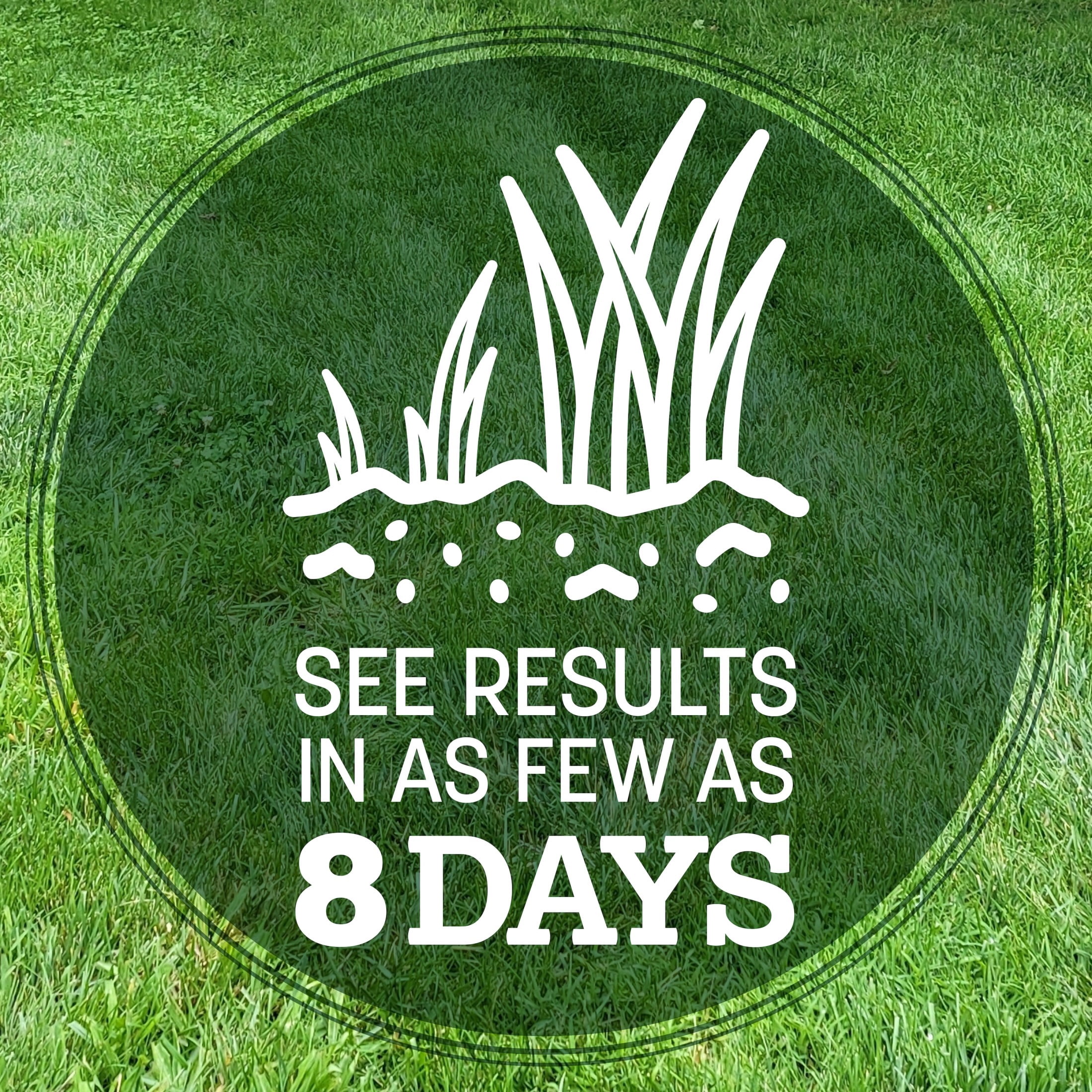 Pennington Kentucky 31 Tall Fescue Grass Seed Mix for Durable Lawns (Sun to Partial Shade, 20 lb) y5lrp