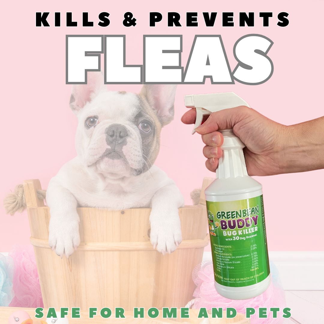 Green Bean Buddy Bed Bug, Flea, Tick, and Roach Killer Spray (Green, 32 oz) w2pmf