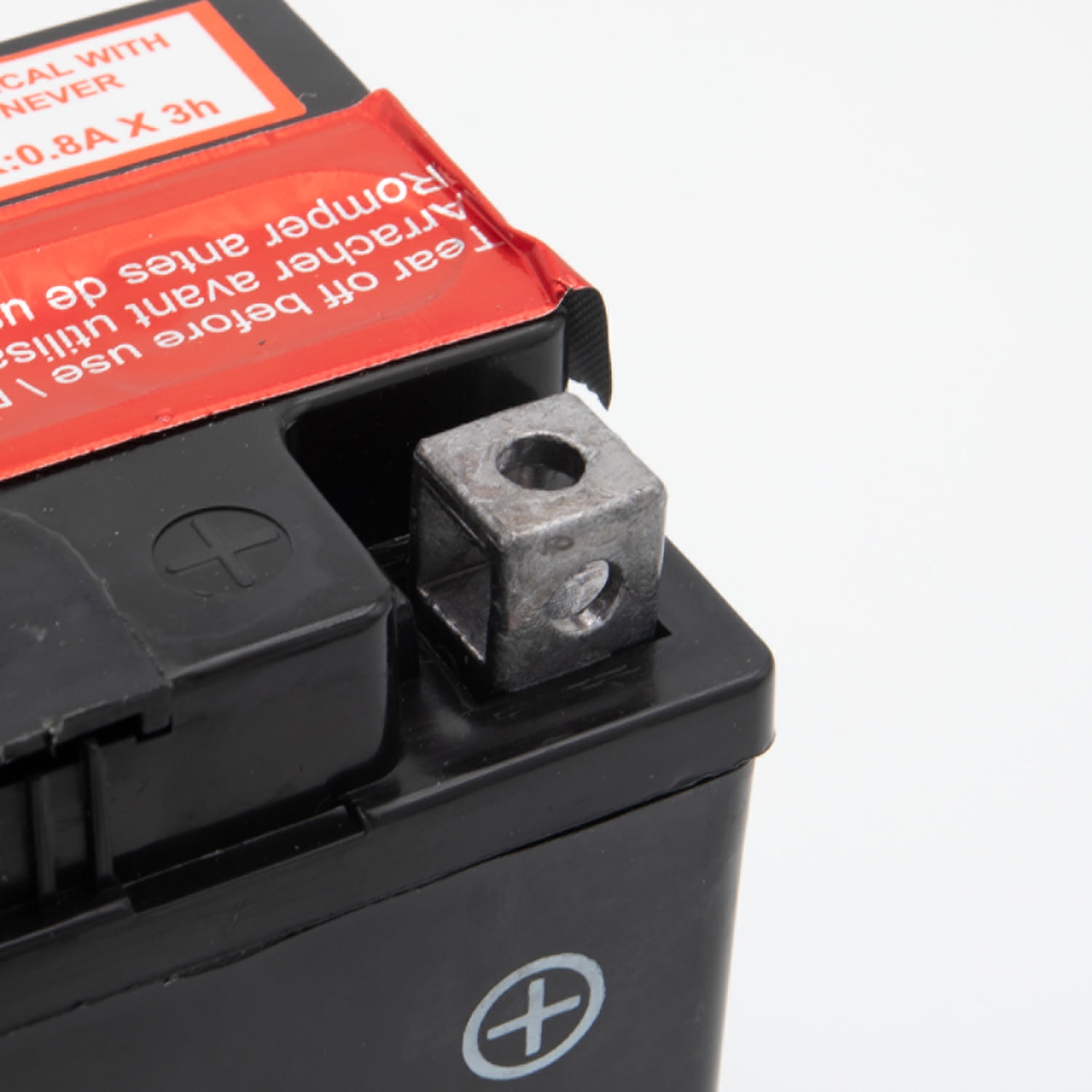 EverStart AGM PowerSport Battery (Group Size 12BS, 12 Volt, 180 CCA) y49r3