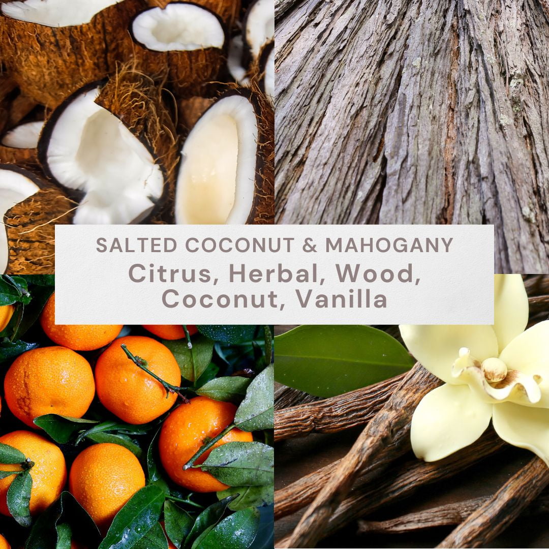 Better Homes & Gardens Salted Coconut Mahogany Car Vent Diffuser Set (White, 0.07 fl oz) fb218