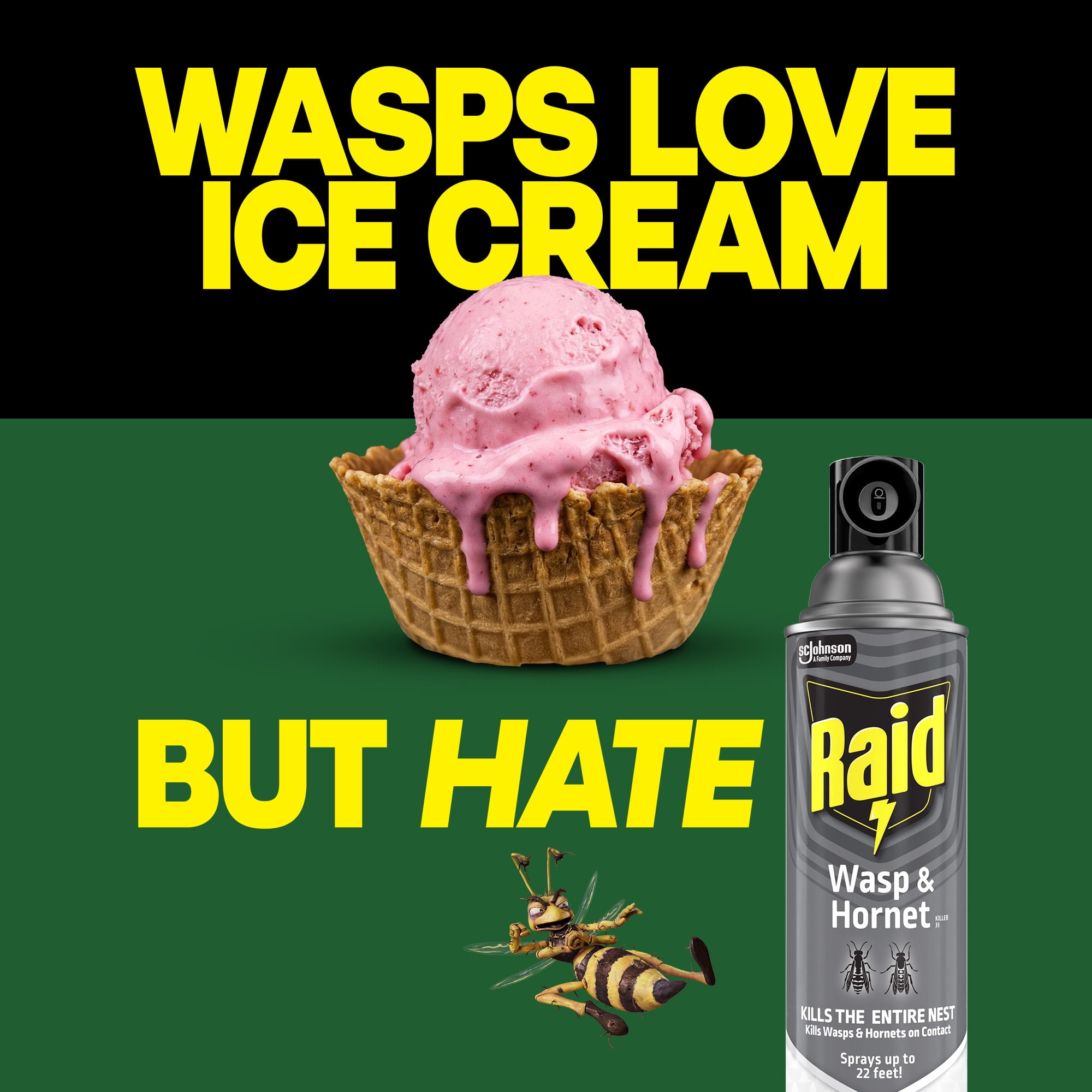 Raid Wasp and Hornet Killer 33 Outdoor Insecticide Spray (2 Pack, 14 oz each) 3e5kk