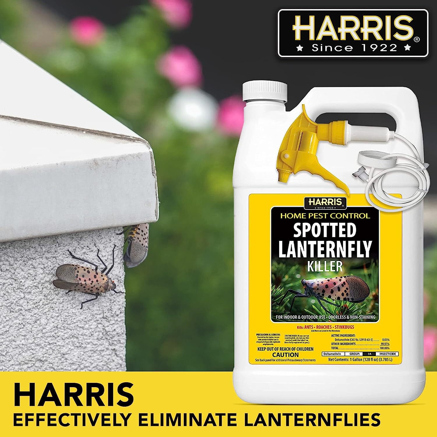 Harris Insect Killer Liquid Spray, Indoor and Outdoor Pest Control (128 fl oz) sao0l
