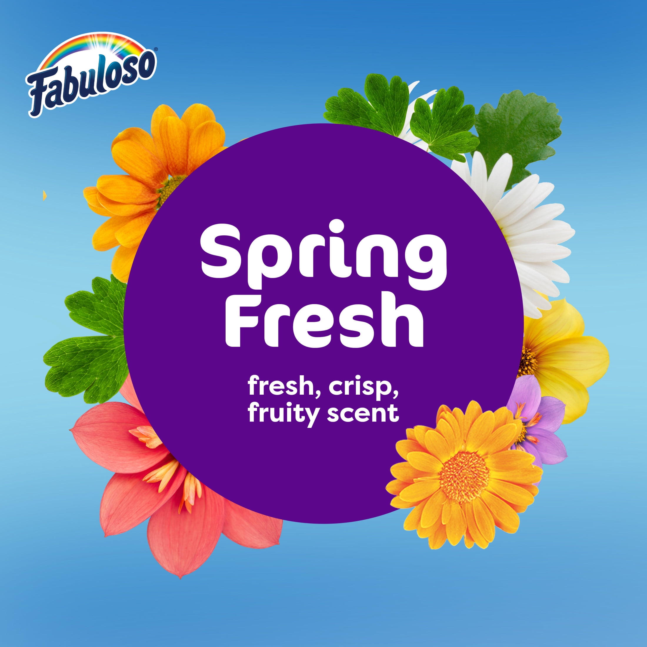 Fabuloso 2X Multi-Purpose Cleaner, Bleach Alternative, Spring Fresh Scent (56 fl oz) e3e2l