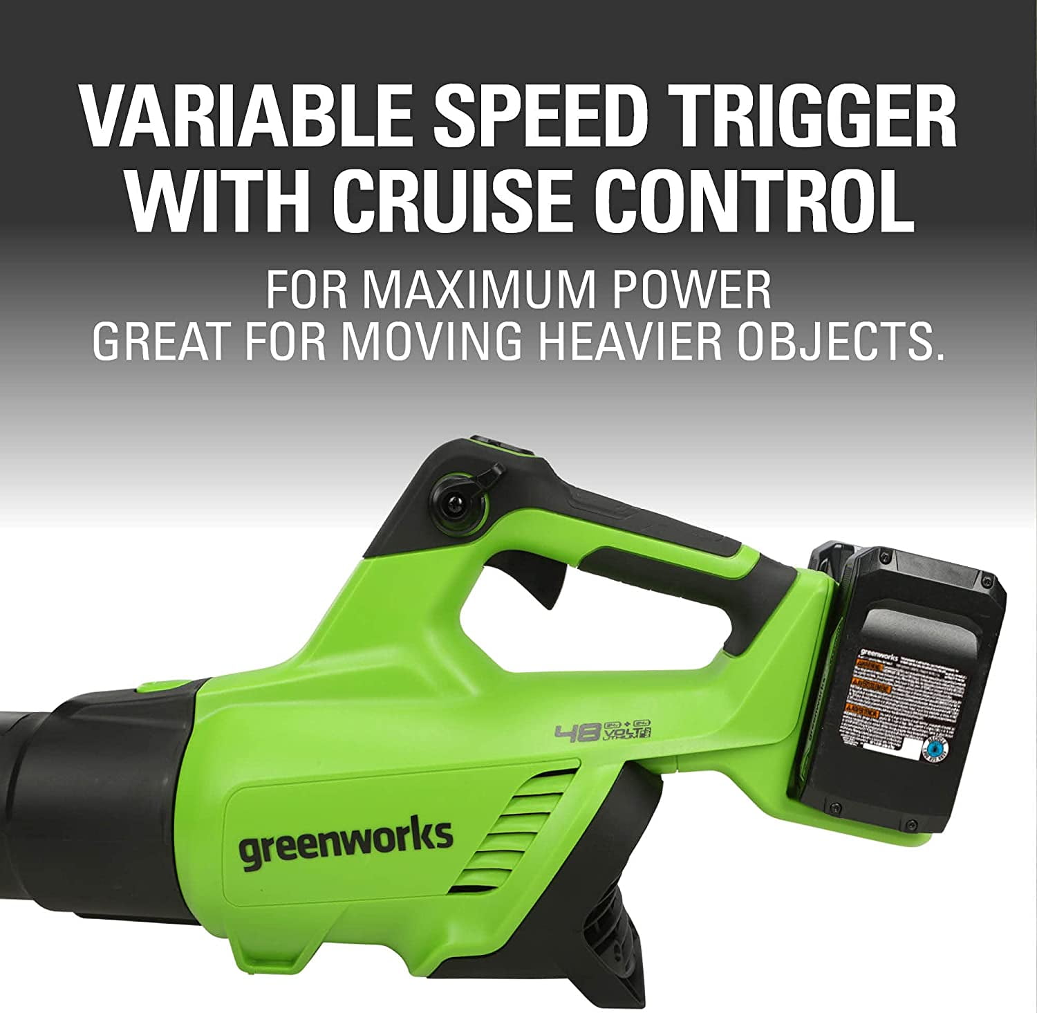 Greenworks 48V Cordless Brushless Axial Leaf Blower with (2) 4.0Ah Batteries and Dual Port Rapid Charger (140 MPH, 585 CFM) 4iumi