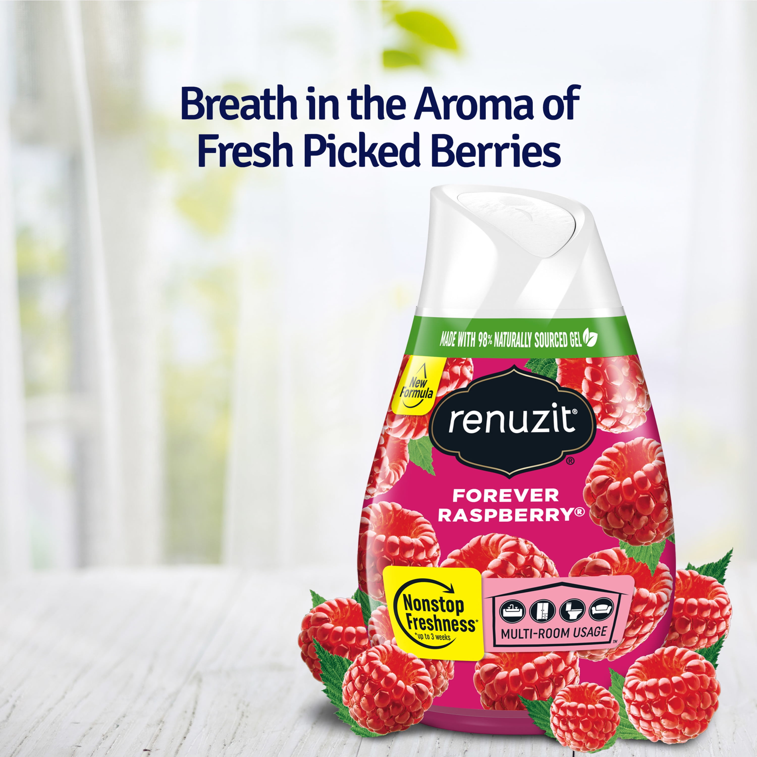 Renuzit Adjustable Solid Gel Air Freshener, Forever Raspberry Scent, Long-Lasting Odor Neutralizer (12 Pack, 7 oz Each) xa0ve