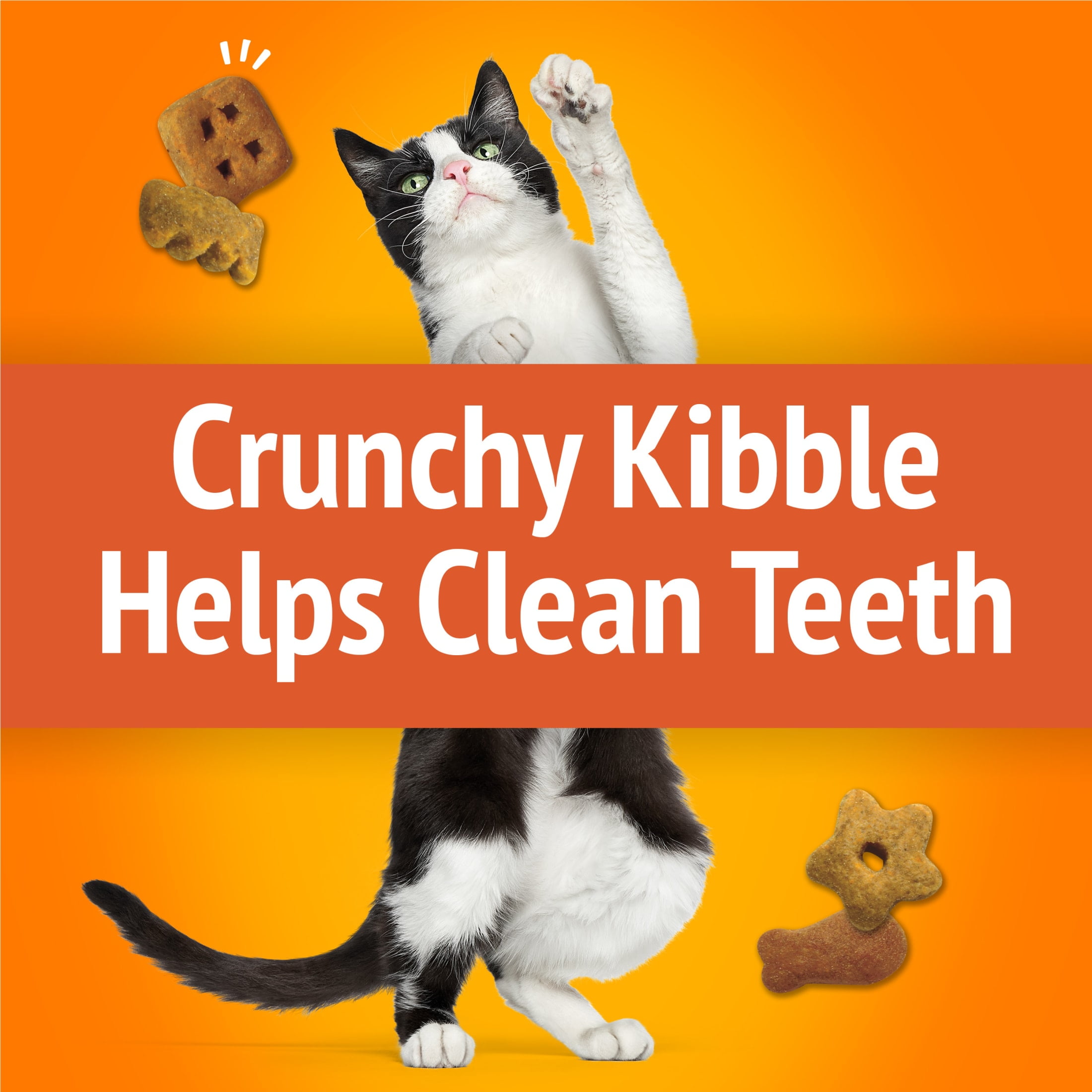 Friskies Party Mix Original Crunch Cat Treats, Chicken, Liver & Turkey Flavor (20 oz) kmb7l