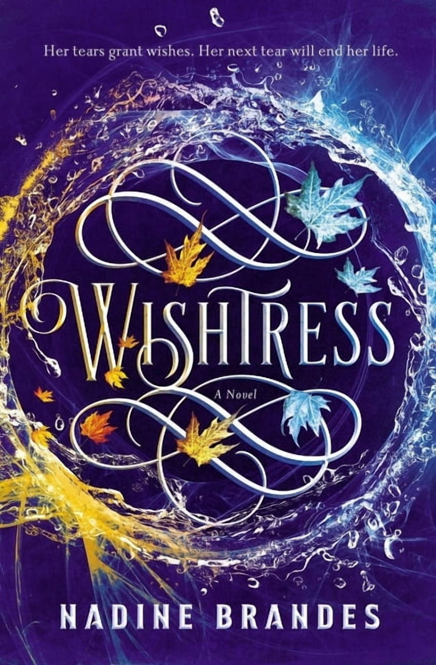 Nadine Brandes Wishtress (Hardcover Edition, 464 Pages) ycf5w
